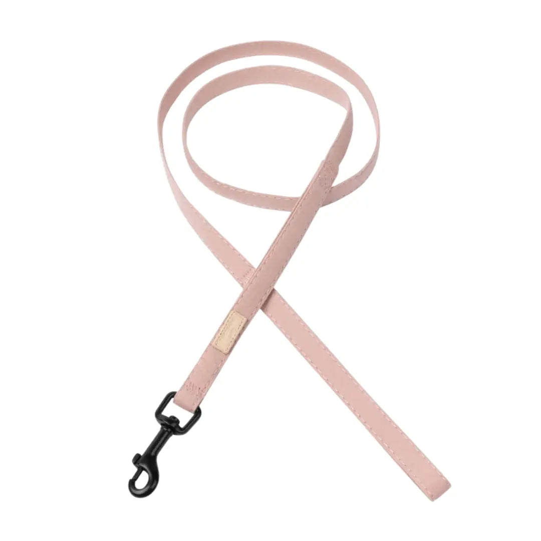 FuzzYard Life Dog Lead - Kellyville Pets