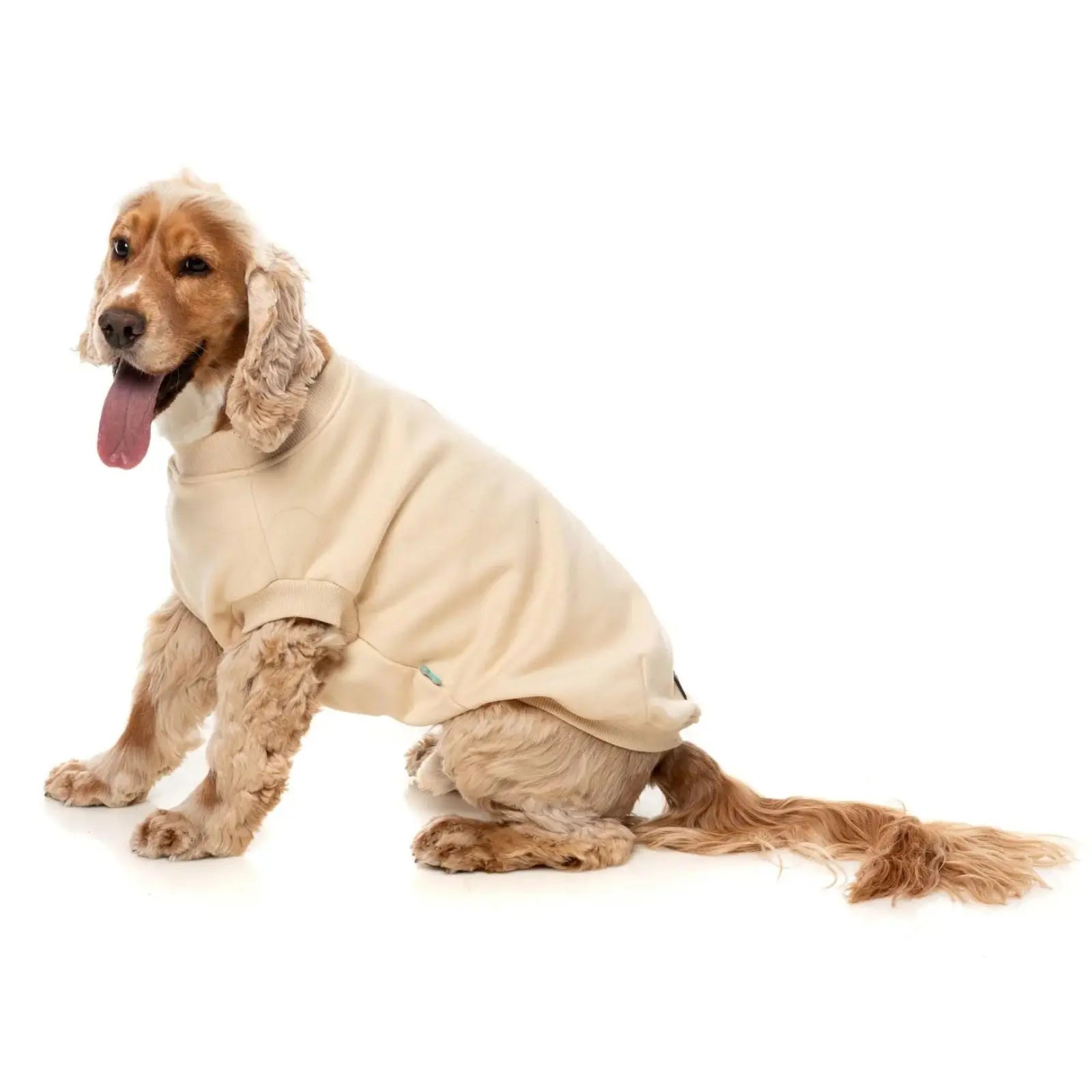 Fuzzyard Allday Dog Sweater - Cream Fuzzyard