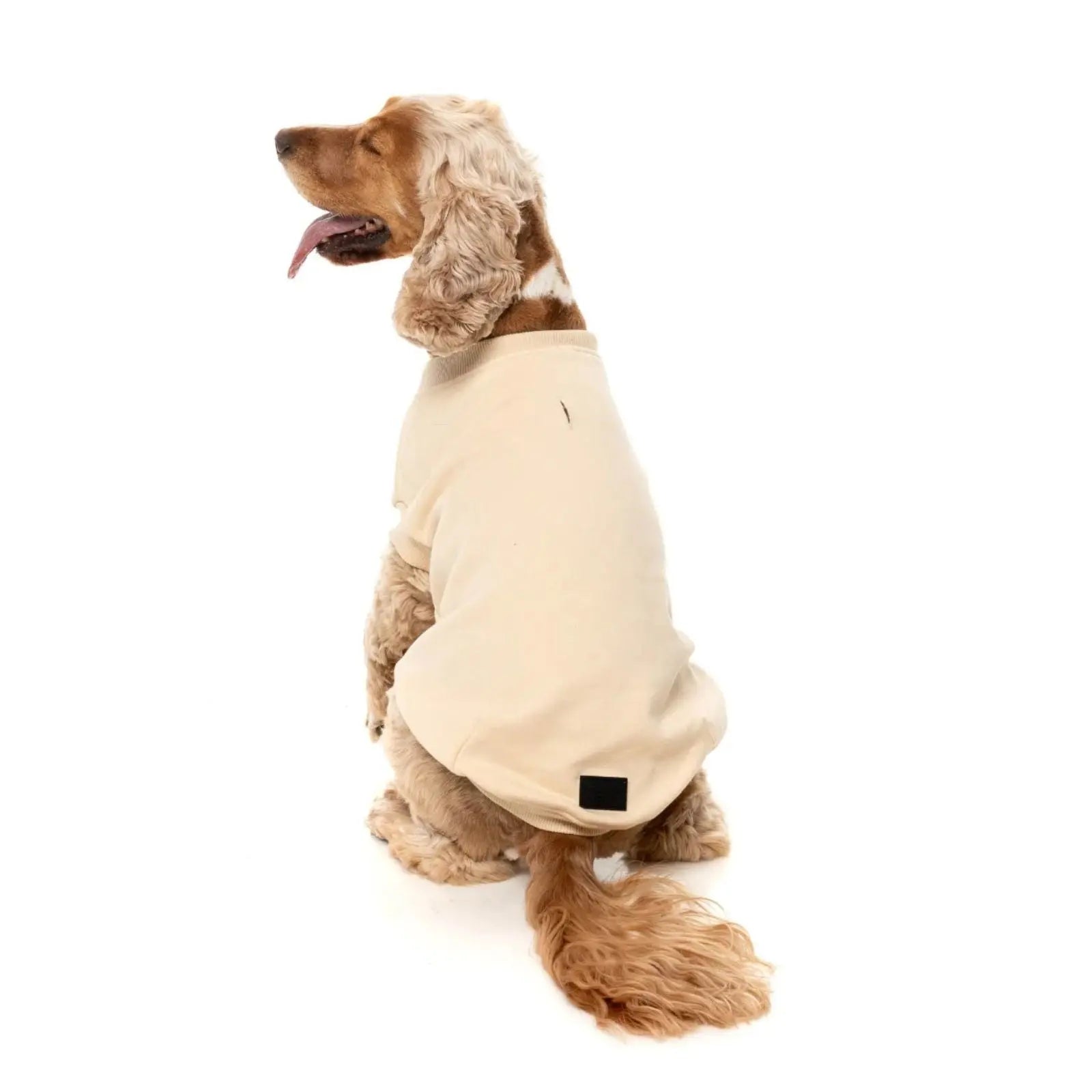 Fuzzyard Allday Dog Sweater - Cream Fuzzyard