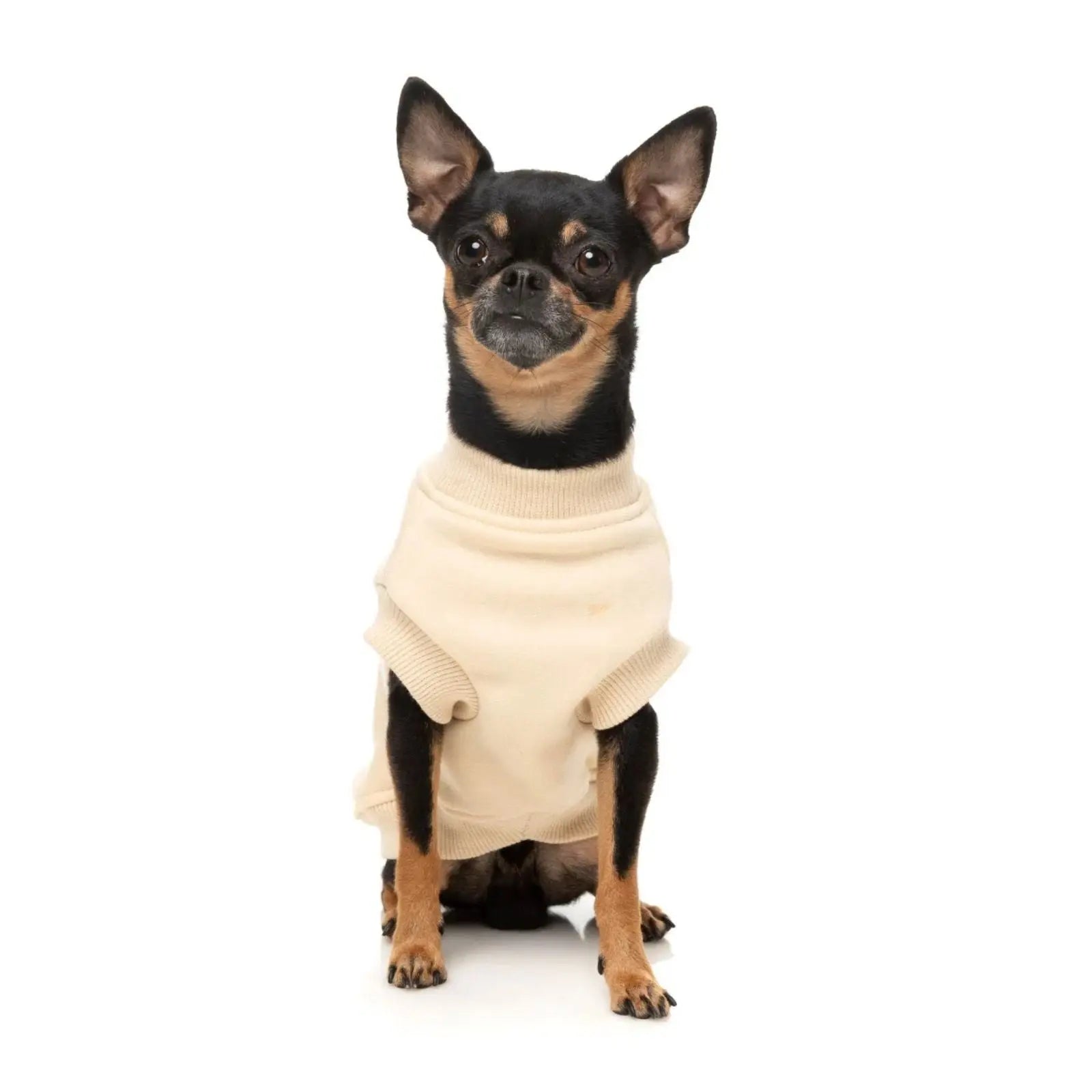 Fuzzyard Allday Dog Sweater - Cream Fuzzyard