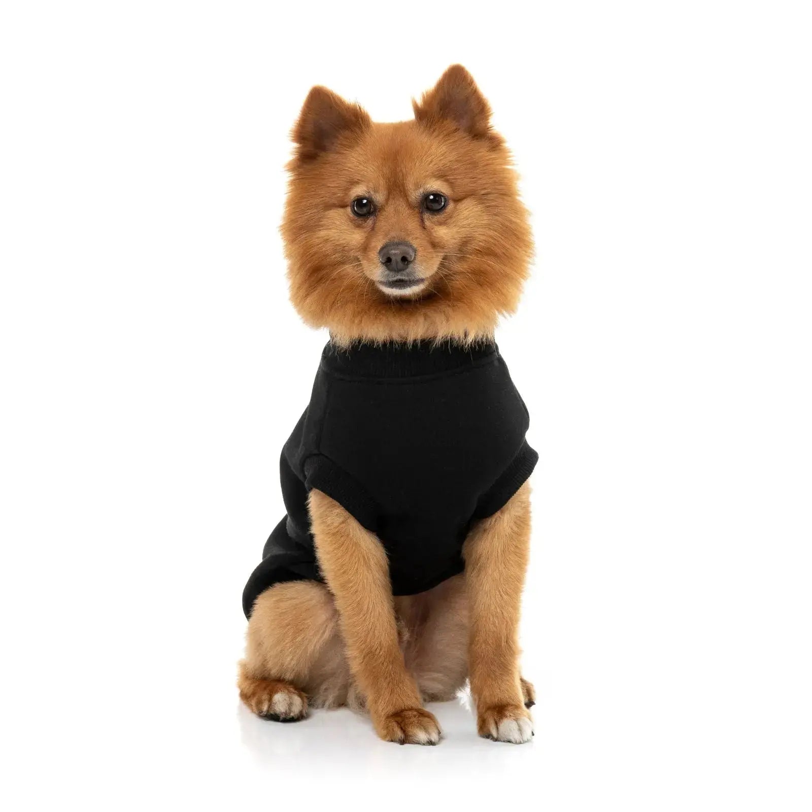 Fuzzyard Allday Sweater Dog Coat - Black Fuzzyard