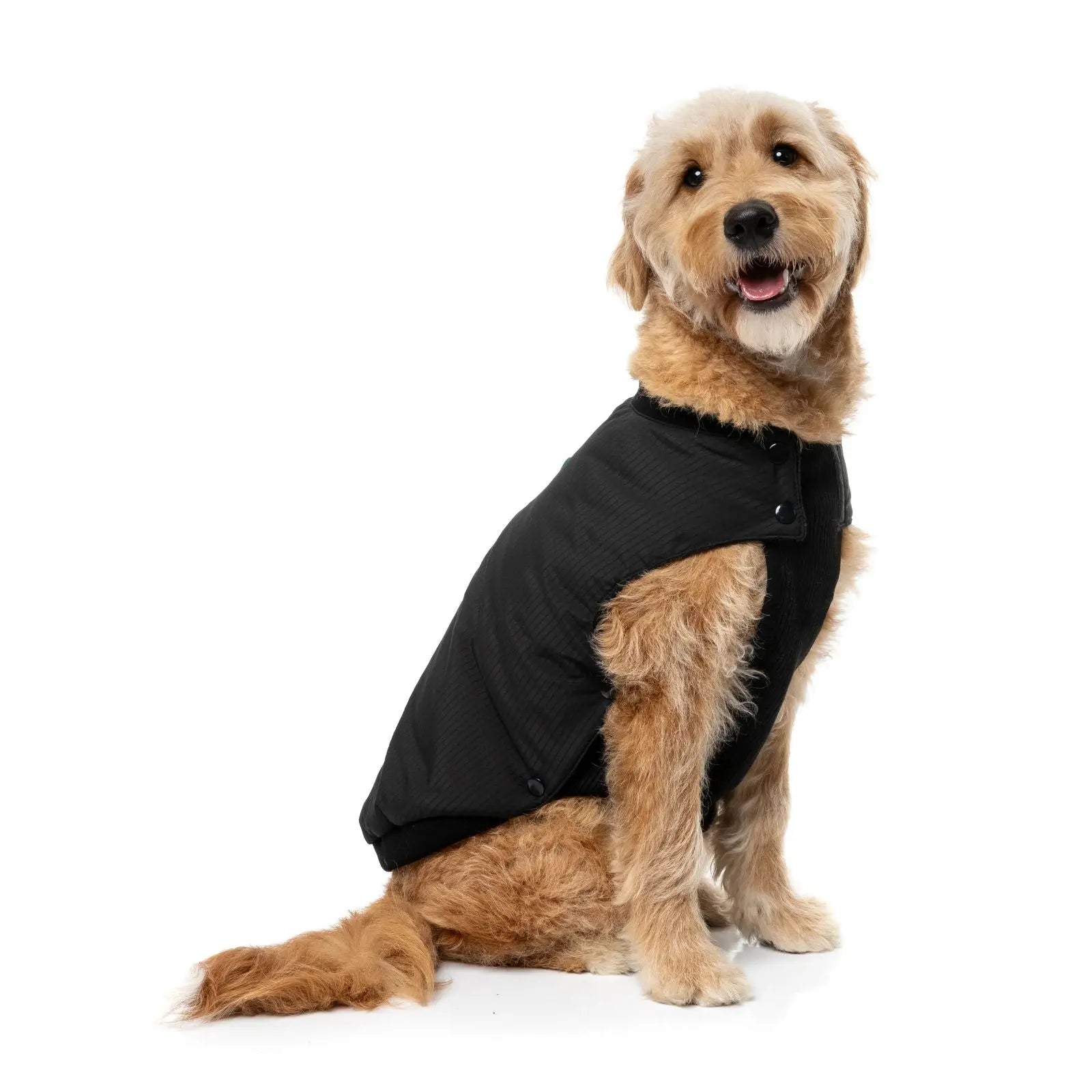 Fuzzyard Bomber Jacket Dog Coat - Black Fuzzyard