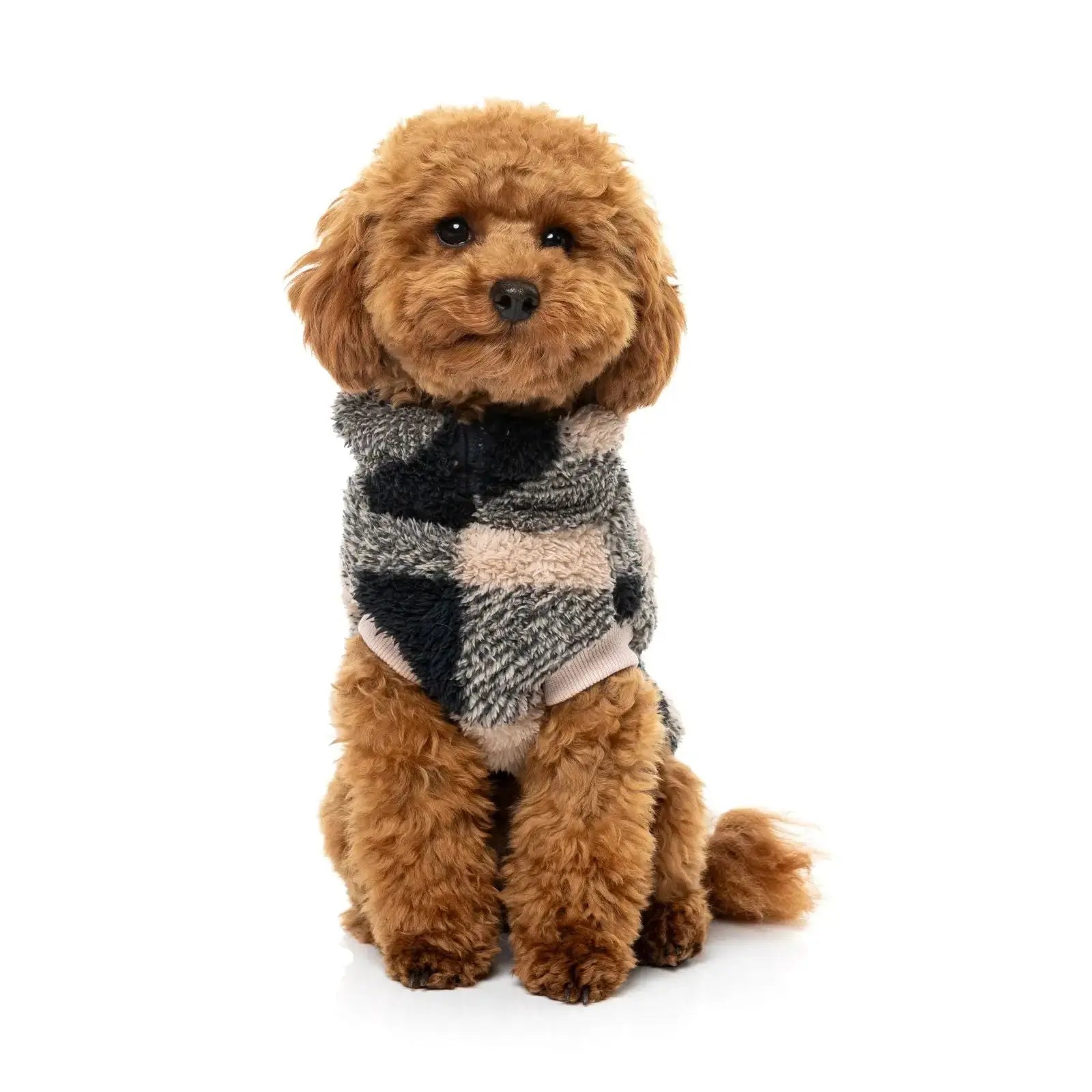 Fuzzyard Checkered Teddy Sweater Dog Coat - Black/Beige Fuzzyard