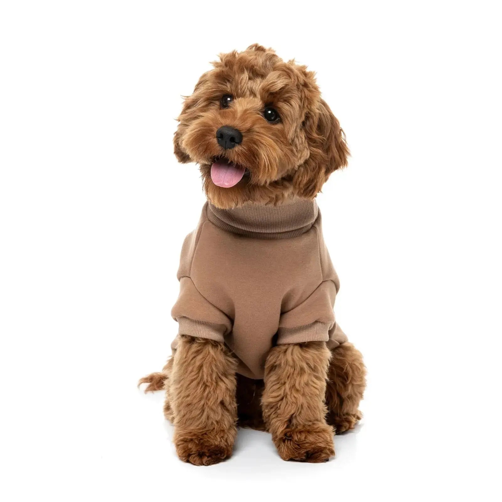 Fuzzyard Stevie Sweater Dog Coat - Latte Fuzzyard