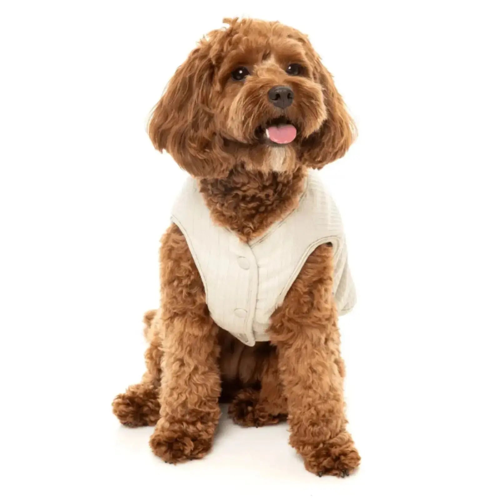 Fuzzyard Umeda Jacket Dog Coat - Bone Fuzzyard
