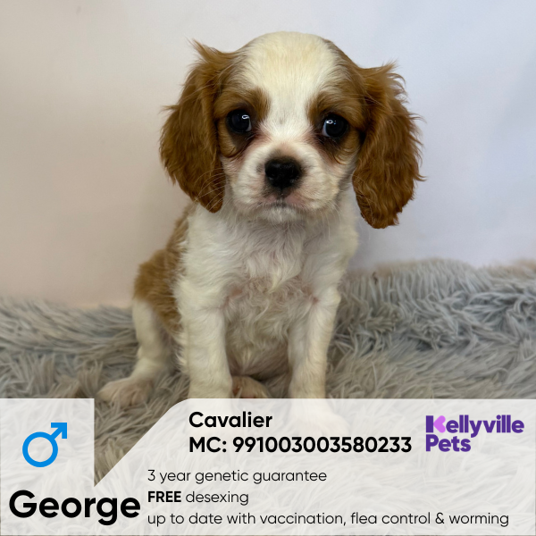 George