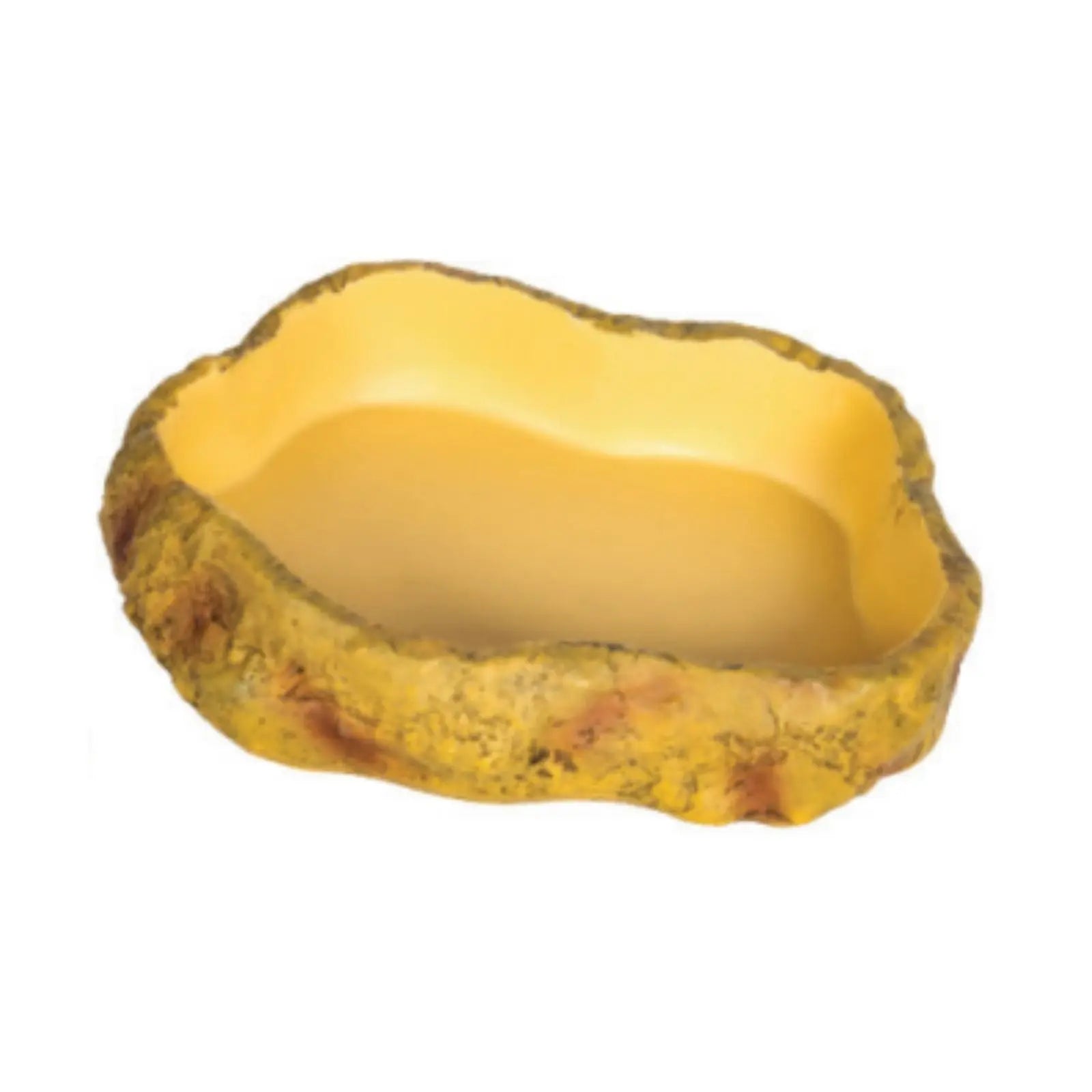 Get Your Pet Right Desert Repti Food Dish Get Your Pet Right