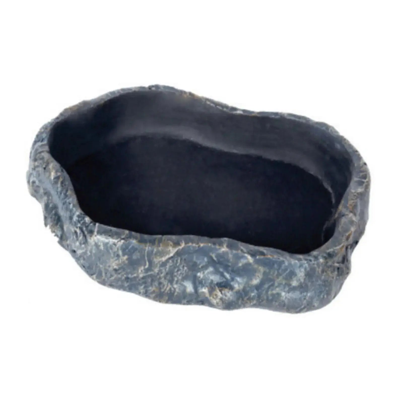 Get Your Pet Right Forest Repti Food Dish Get Your Pet Right