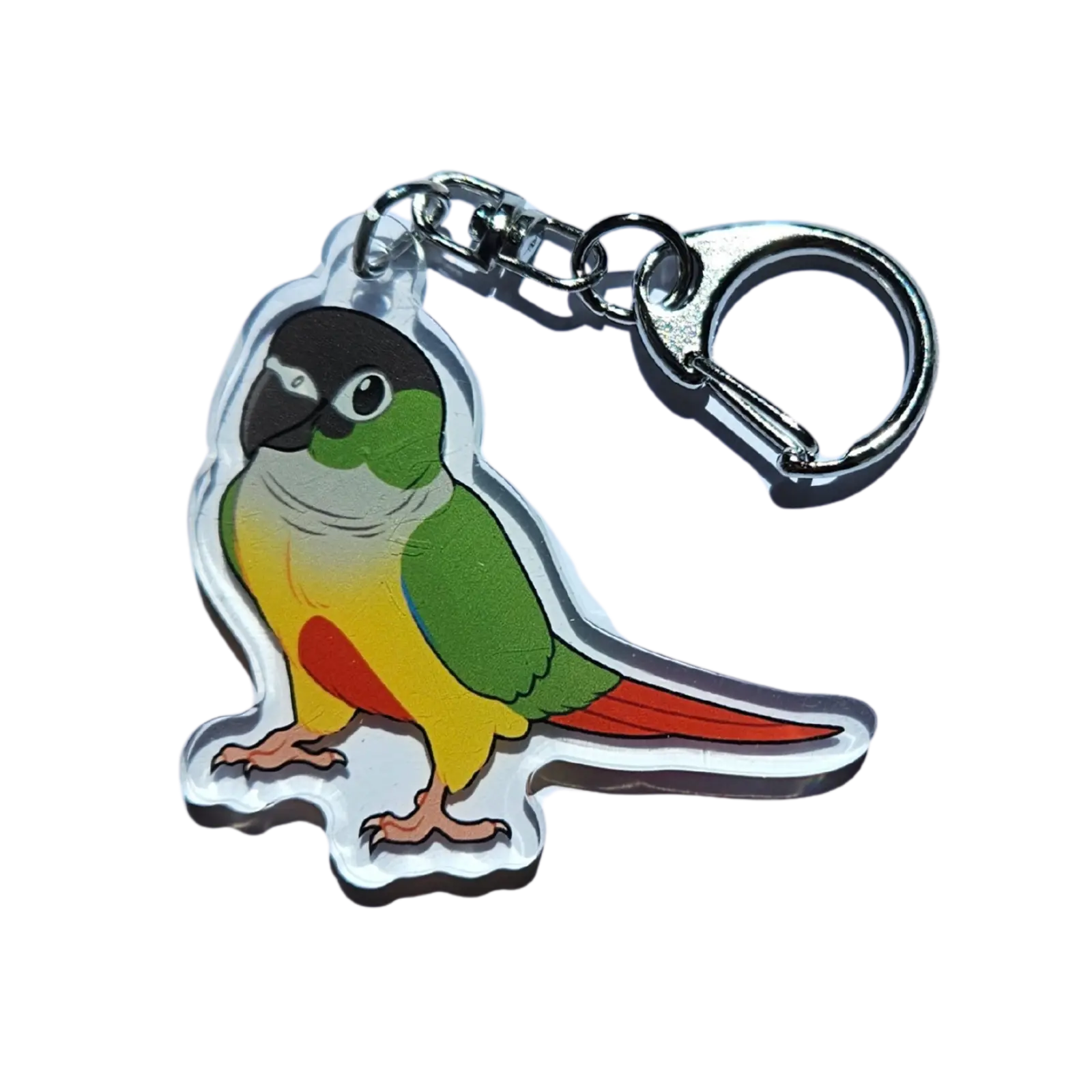 Green Cheeked Conure Acrylic Keychain Hecko Gecko