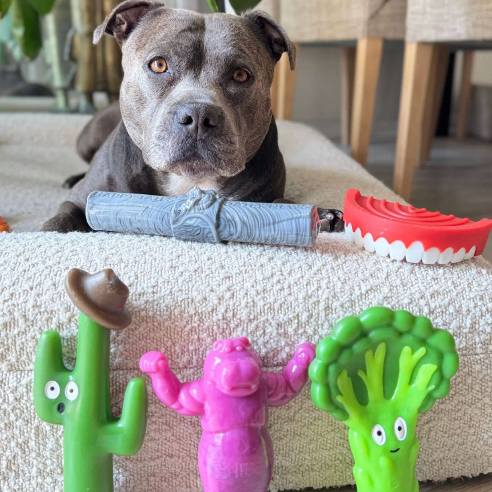 Happy Staffy Co. Cactus Cowboy Tough Dog Toy