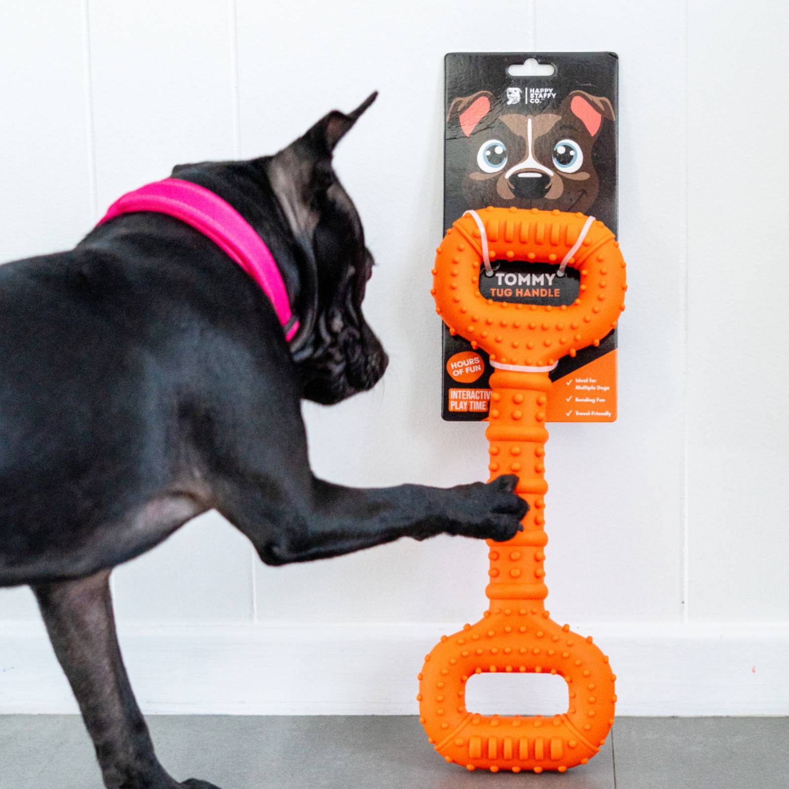 Happy Staffy Co. Tommy Tug Handle Orange Dog Toy
