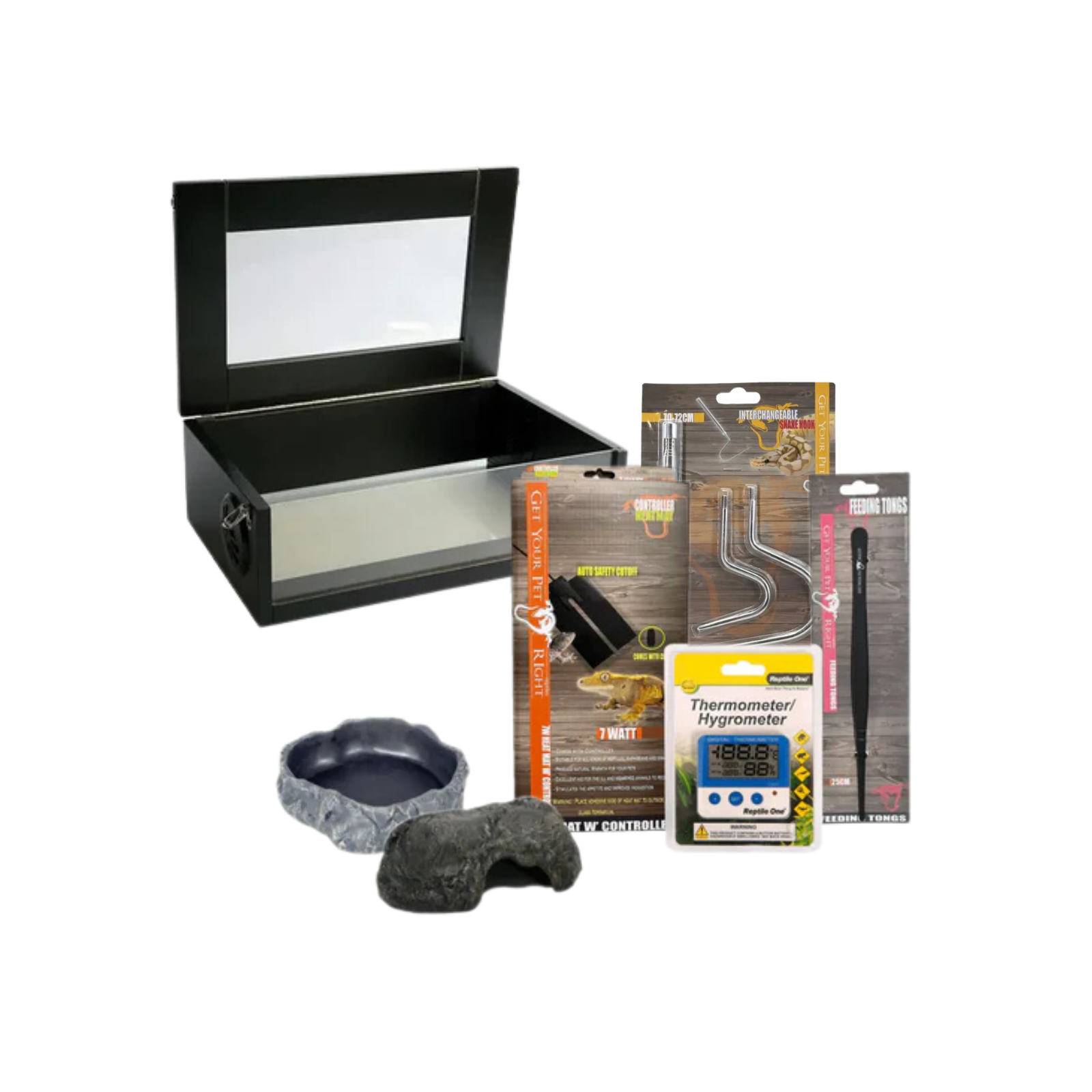 Hatchling Antaresia Python Kit