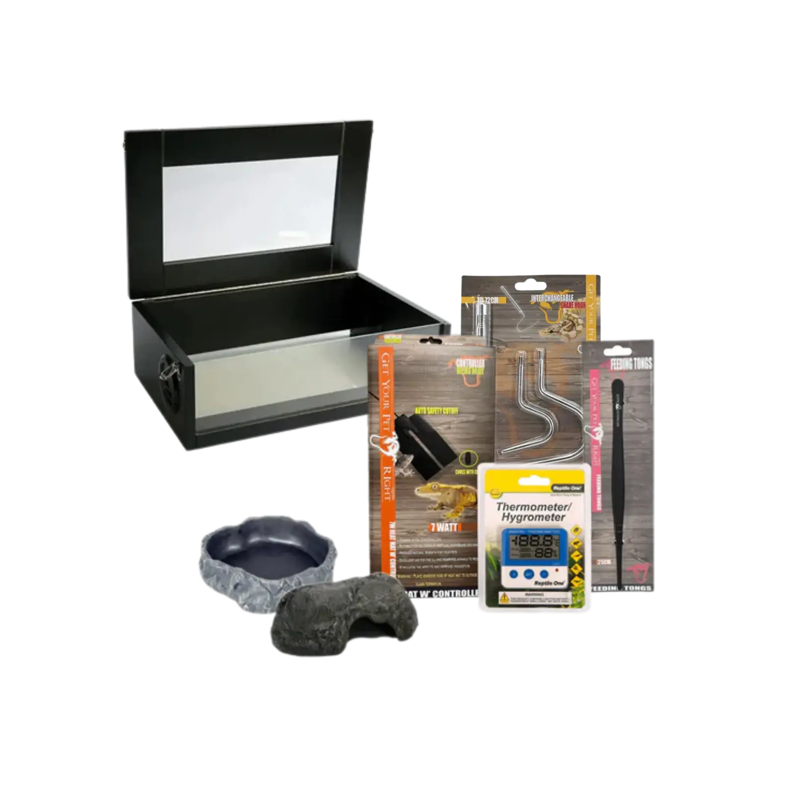 Hatchling Antaresia Python Kit Kellyville Pets