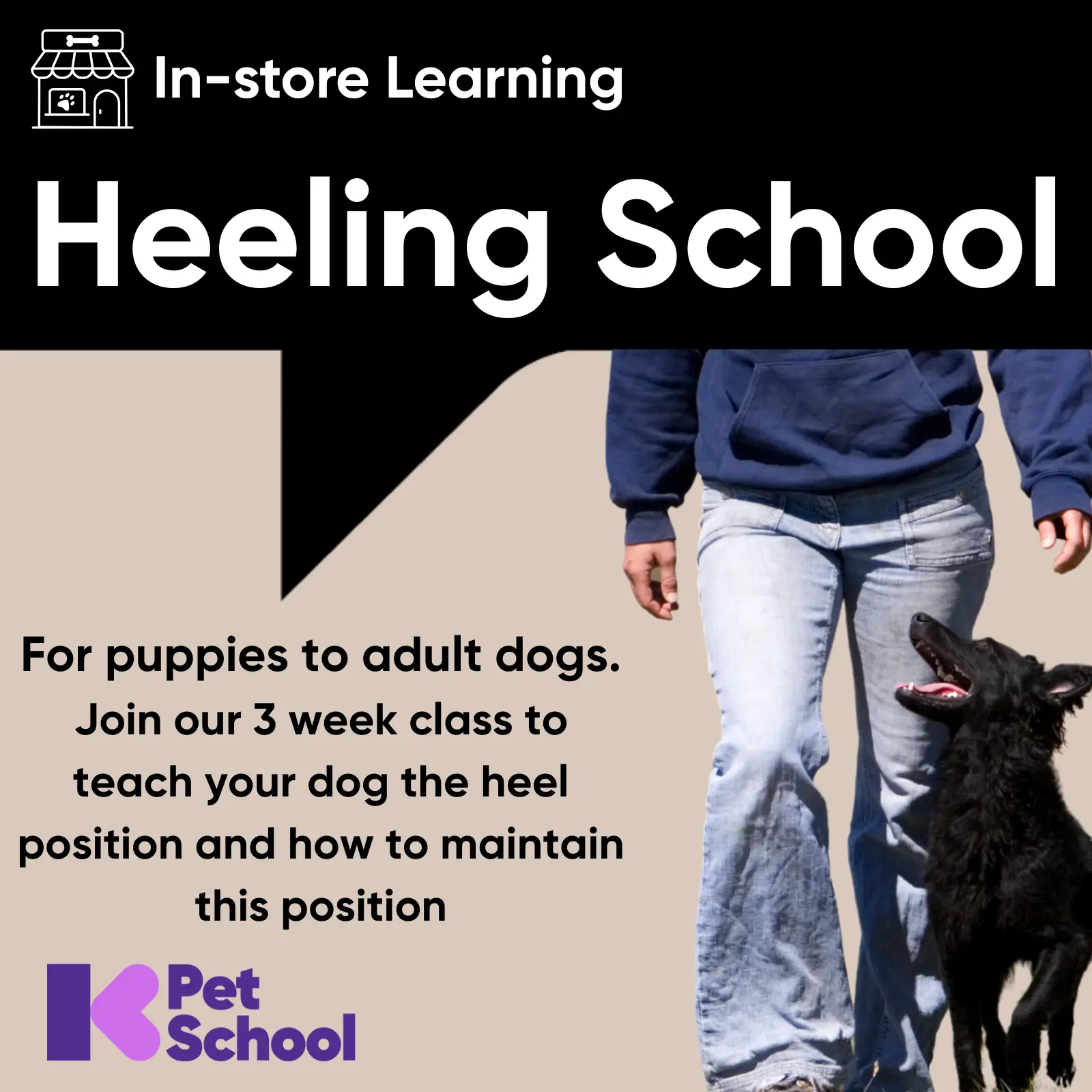 Heeling Class for Dogs Not Specified