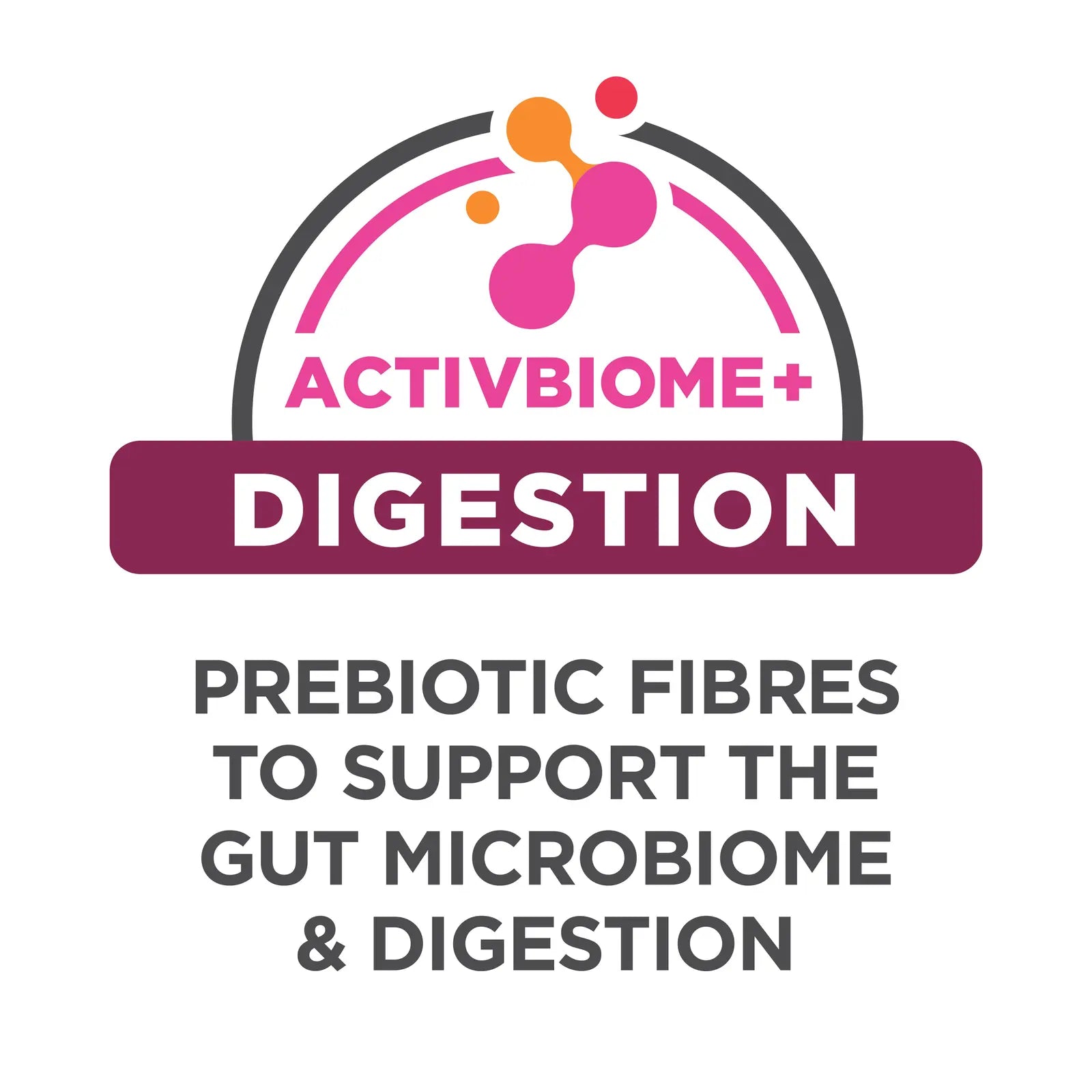 Hill's Science Diet Cat Food Kitten Indoor Hills