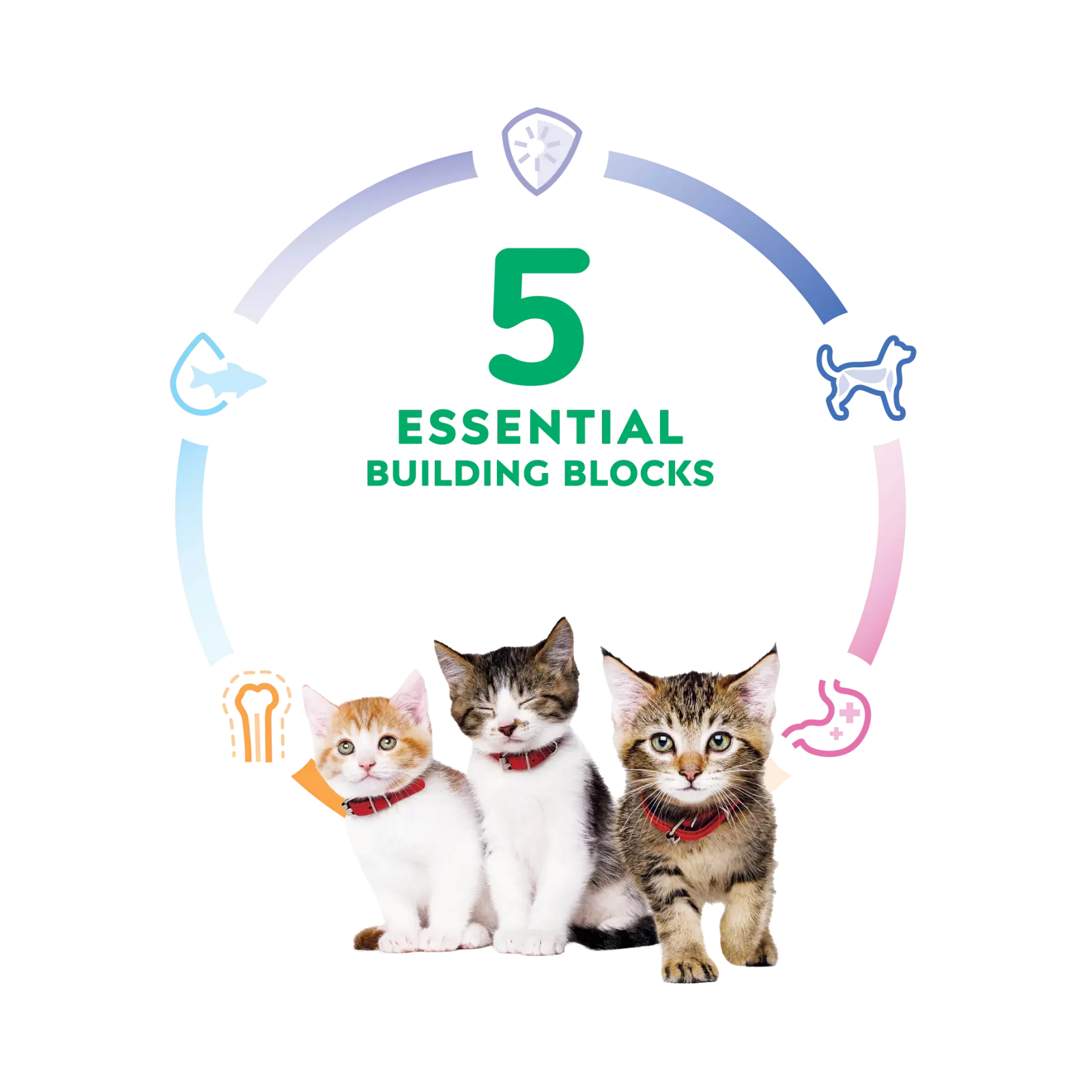 Hill's Science Diet Cat Food Kitten Hills