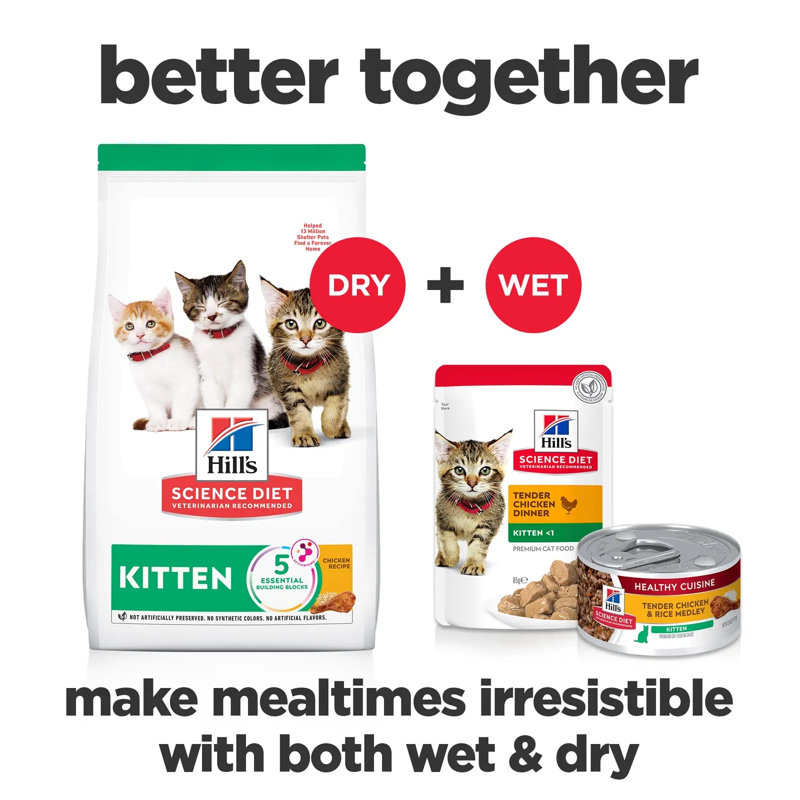 Hill's Science Diet Cat Food Kitten Hills