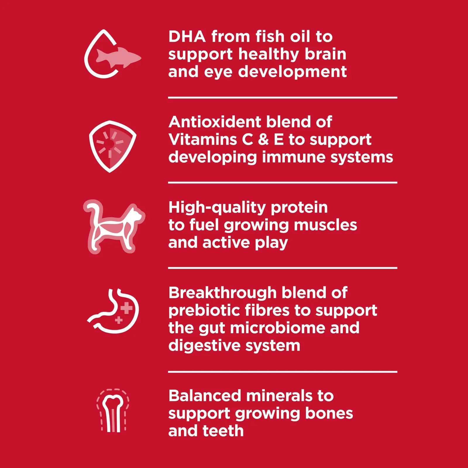 Hill's Science Diet Cat Food Kitten Hills