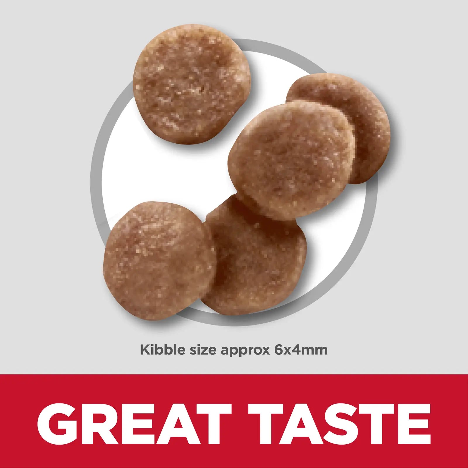 Hill's Science Diet Cat Food Kitten Hills