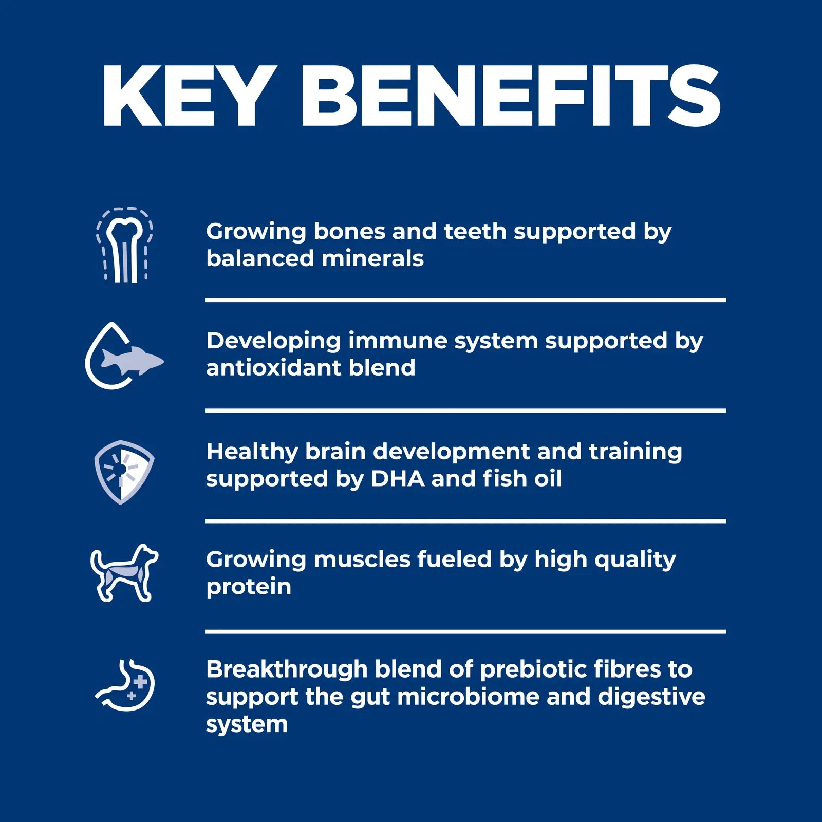 Hill's Science Diet Dog Food Puppy Small Bites Hills