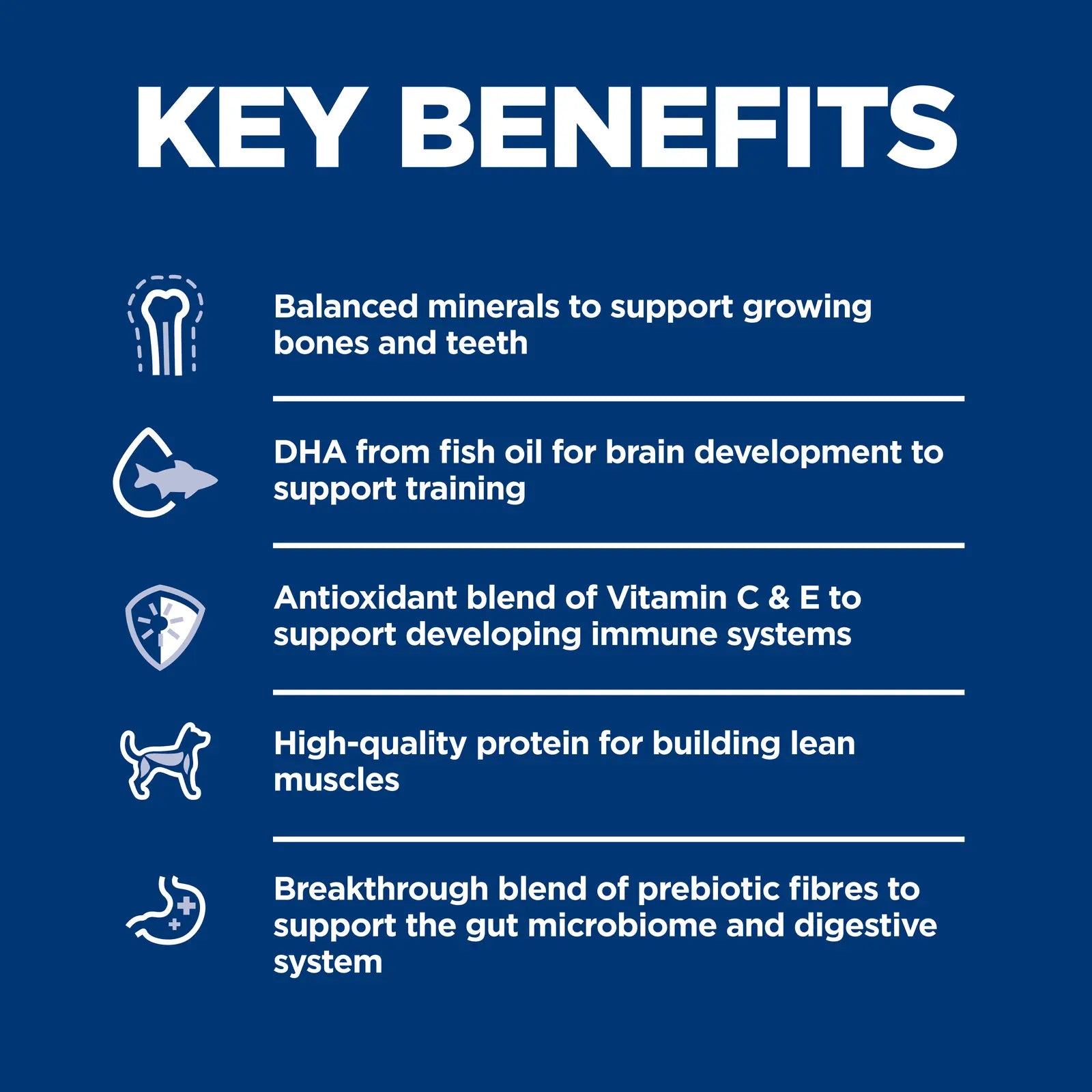 Hill's Science Diet Dog Food Puppy Small Paws Hills