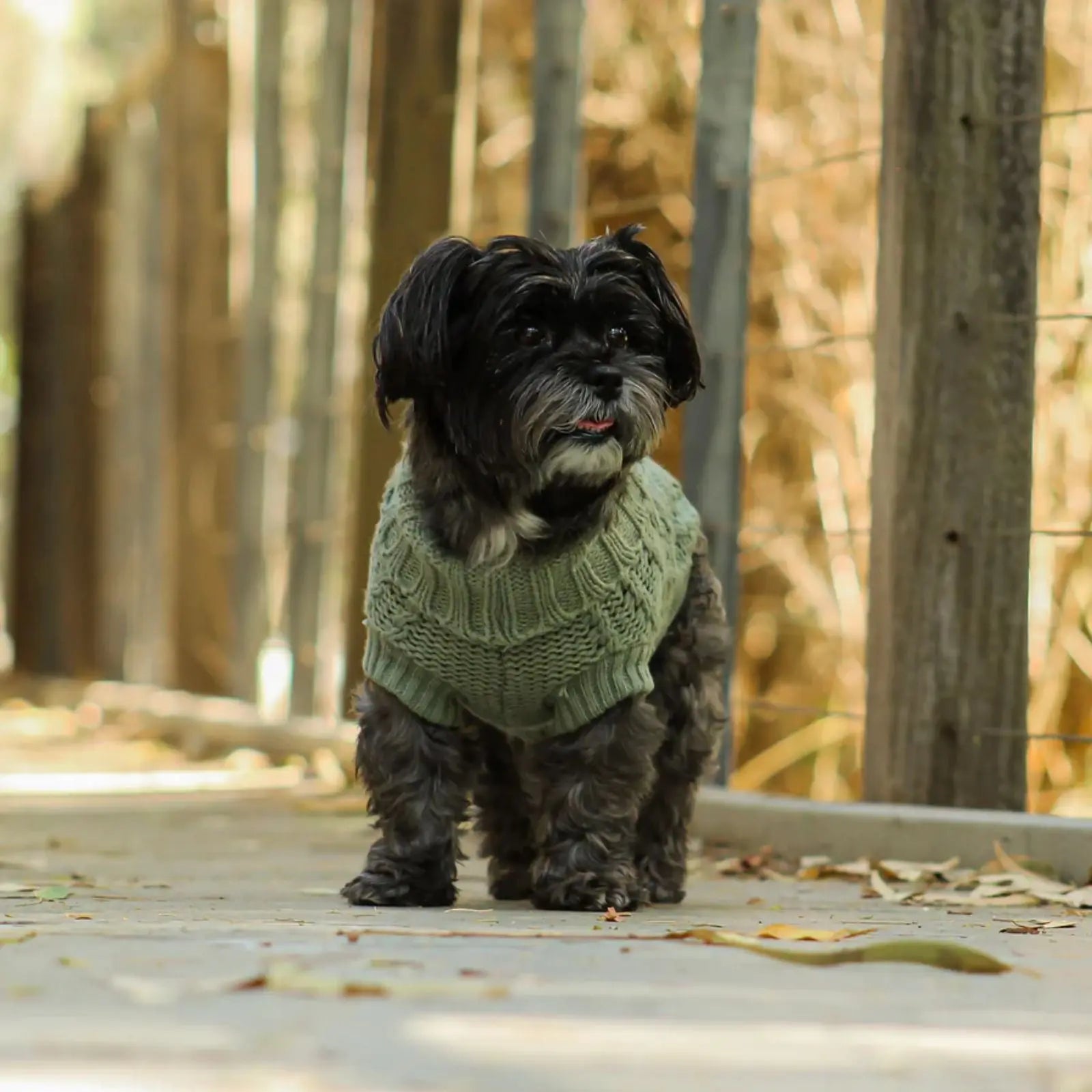Huskimo French Knit – Eucalyptus Soft Stretch Dog Jumper Huskimo