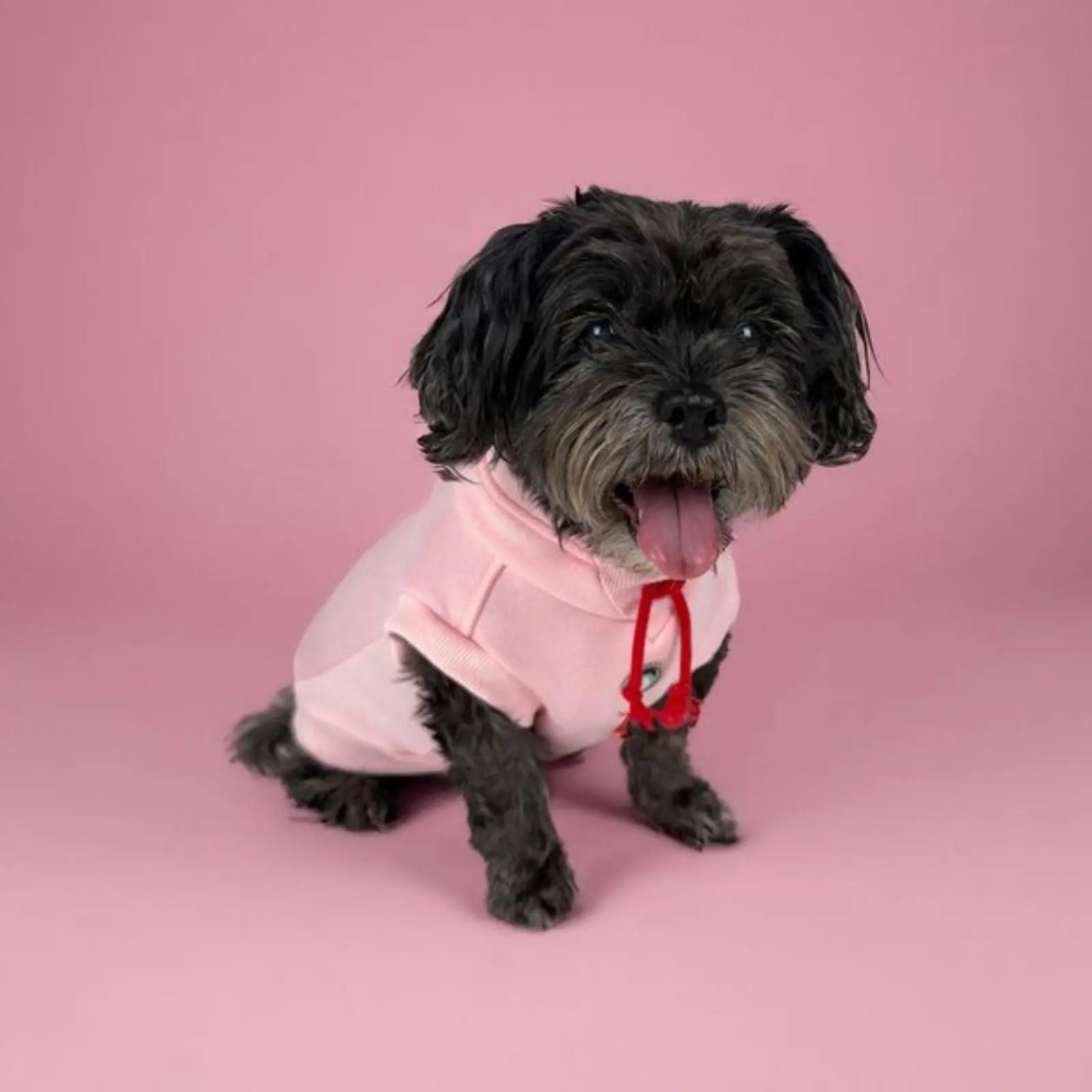 Huskimo Joodie – Strawberry Dog Jumper Huskimo