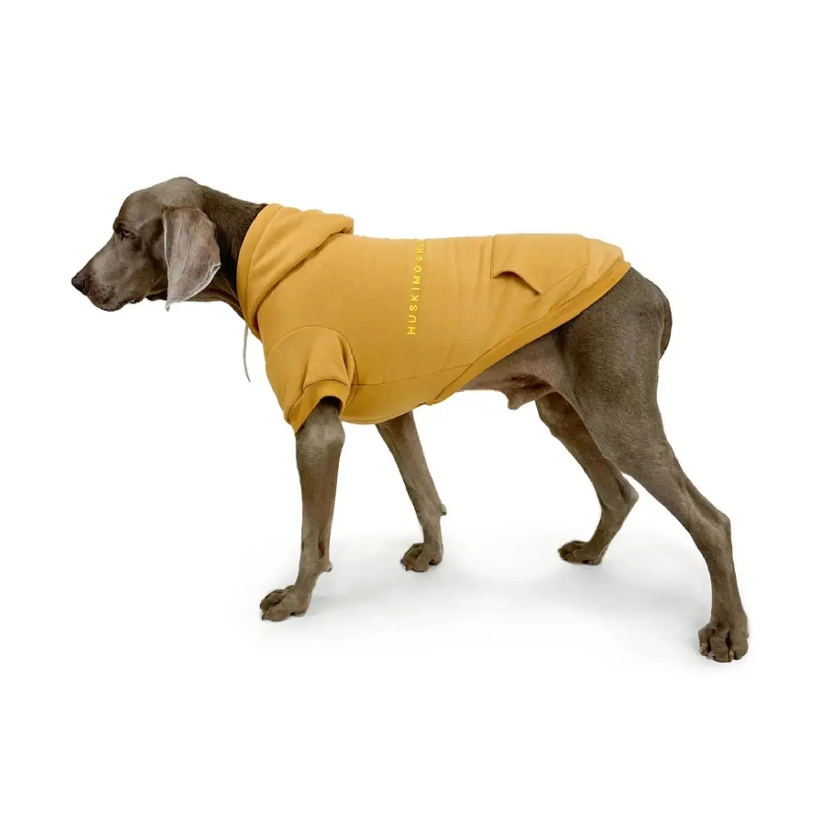 Huskimo Mt Baw Baw – Mustard Cozy Fleece Dog Hoodie Huskimo