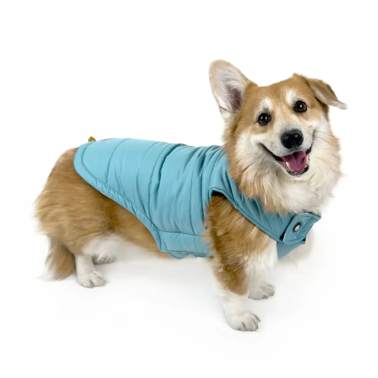 Huskimo Reversible – Pacific Blue Warm 2-in-1 Dog Jacket Huskimo