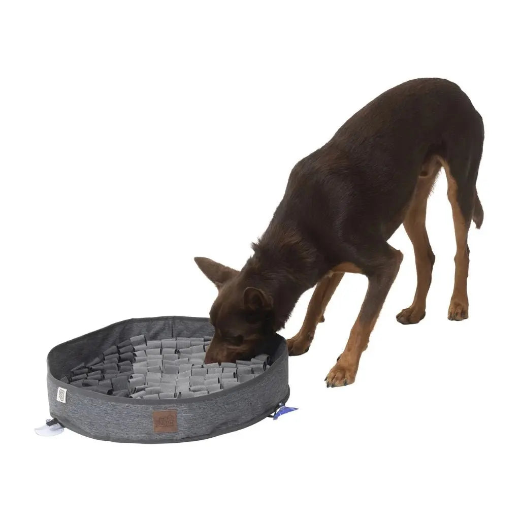 Indie & Scout Round Raised Snuffle Mat - Kellyville Pets