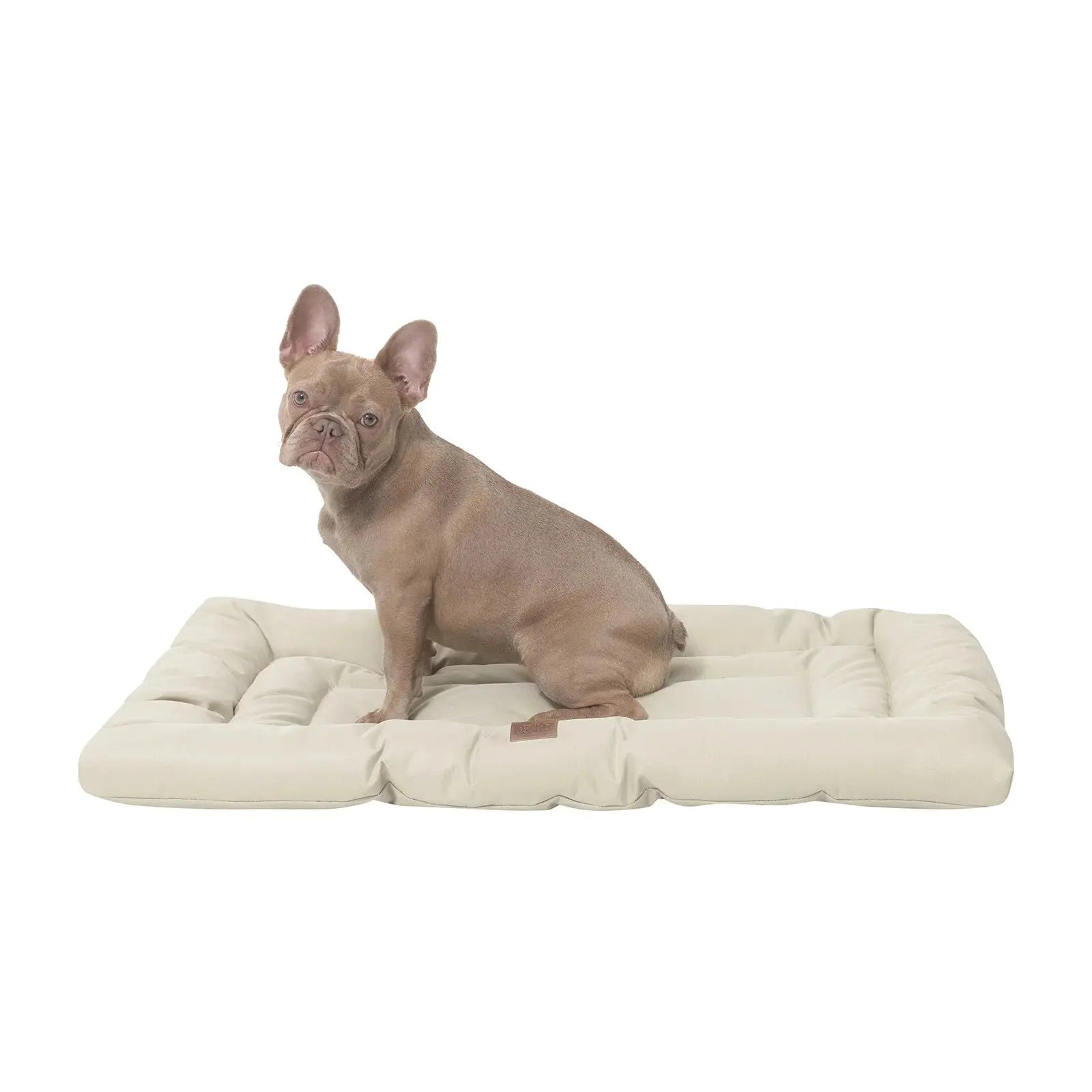 Indie & Scout Water Resistant Pet Mat - Kellyville Pets