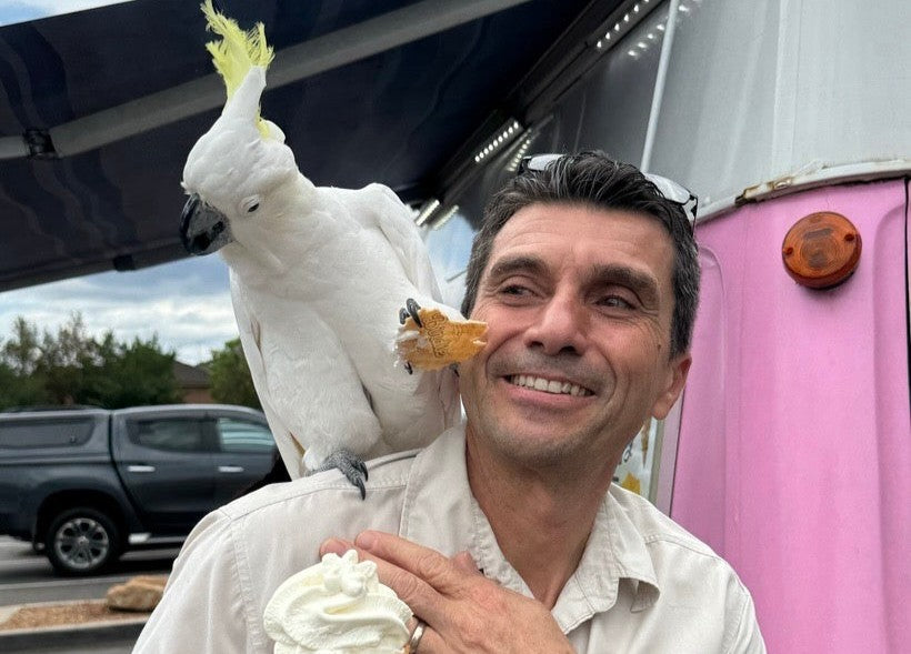 The pets we never said
