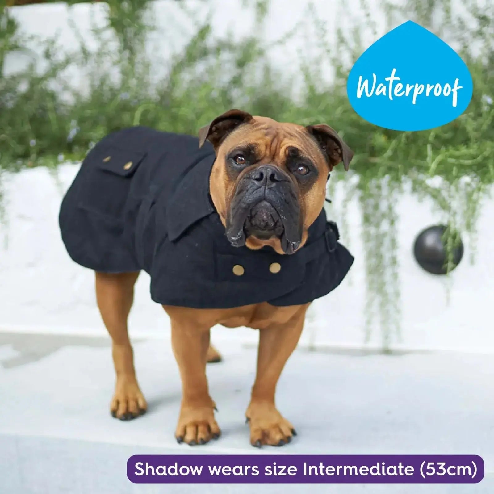 Kazoo Aussie Oilskin Waterproof Dog Coat - Black Kazoo