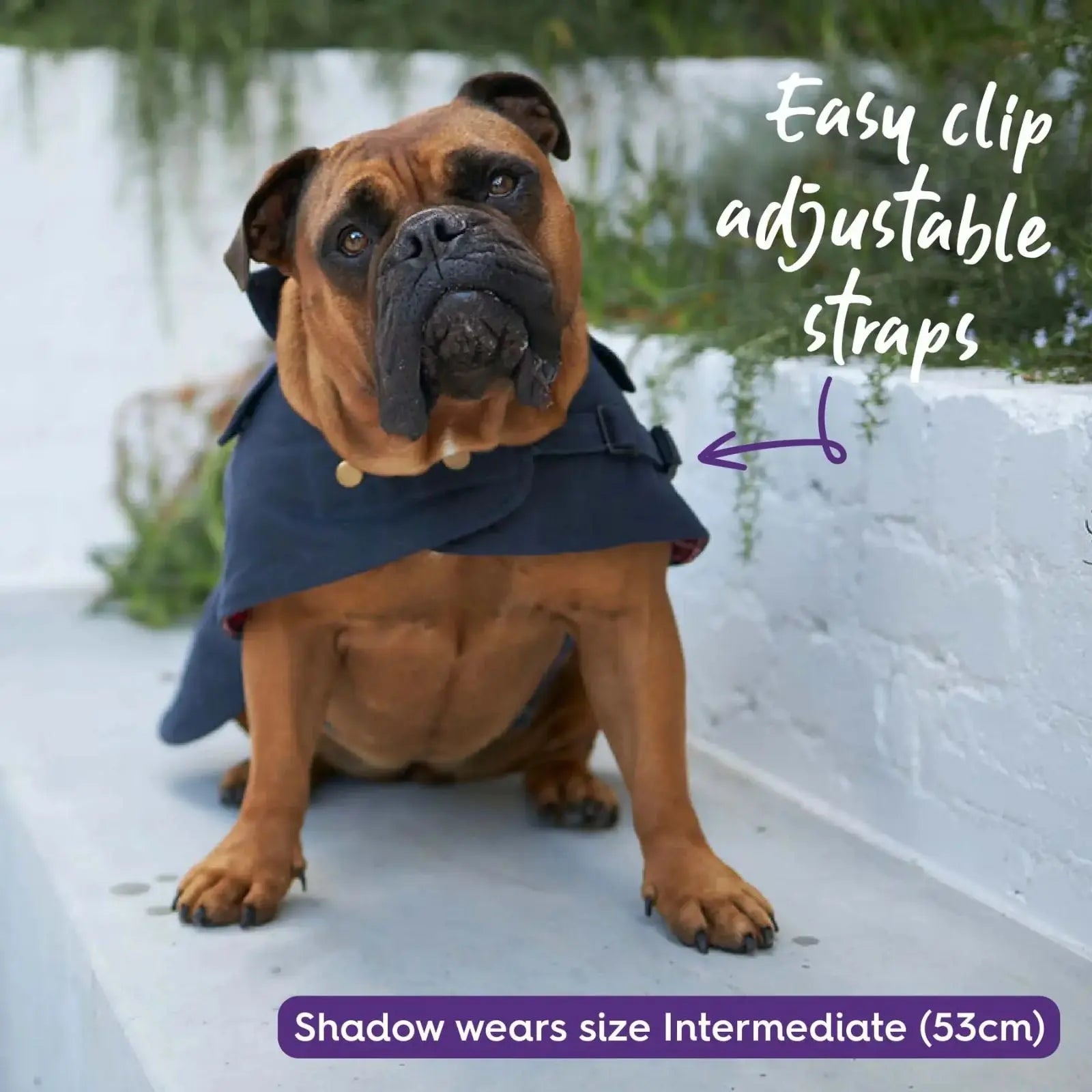 Kazoo Aussie Oilskin Waterproof Dog Coat - Navy Kazoo