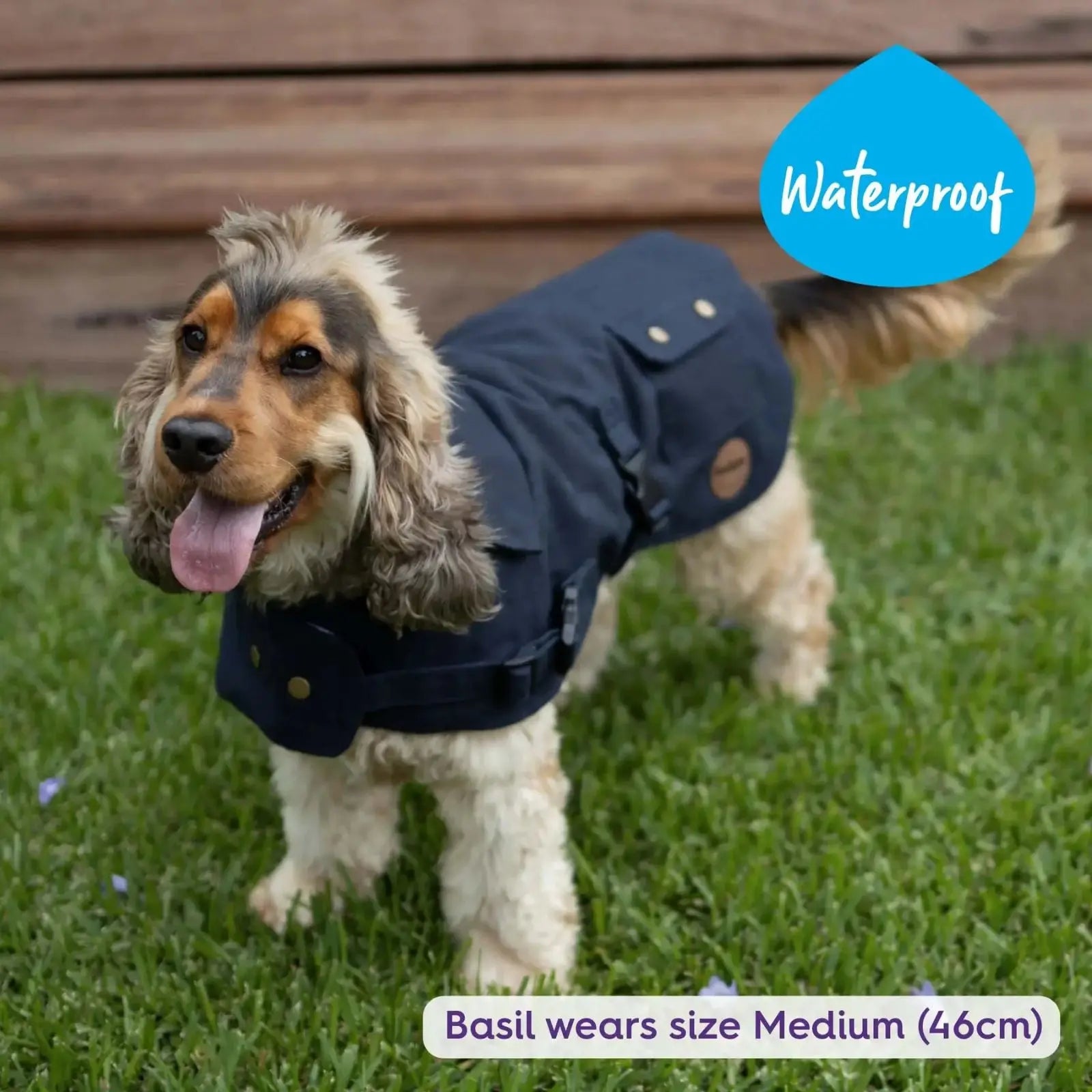 Kazoo Aussie Oilskin Waterproof Dog Coat - Navy Kazoo