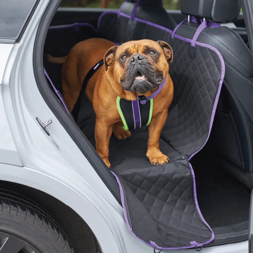 Kazoo Car Seat Cover - Kellyville Pets