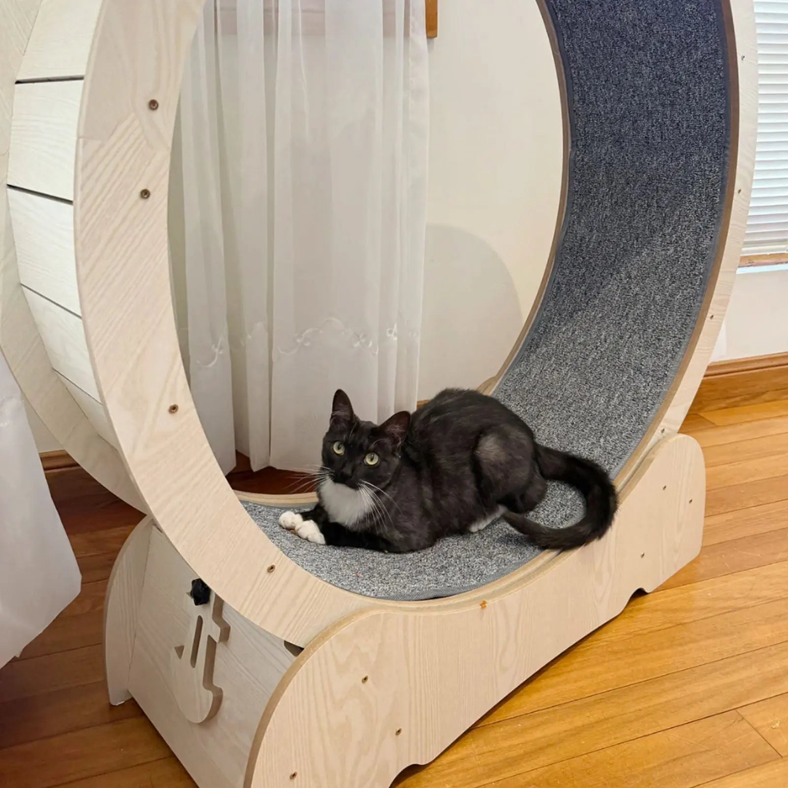Kazoo Cat Workout Wheel Kazoo