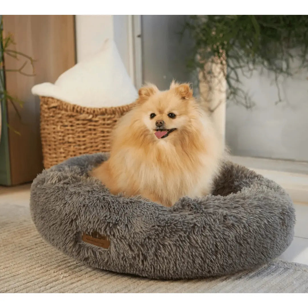 Kazoo Peacock Mud Dog Bed - Kellyville Pets
