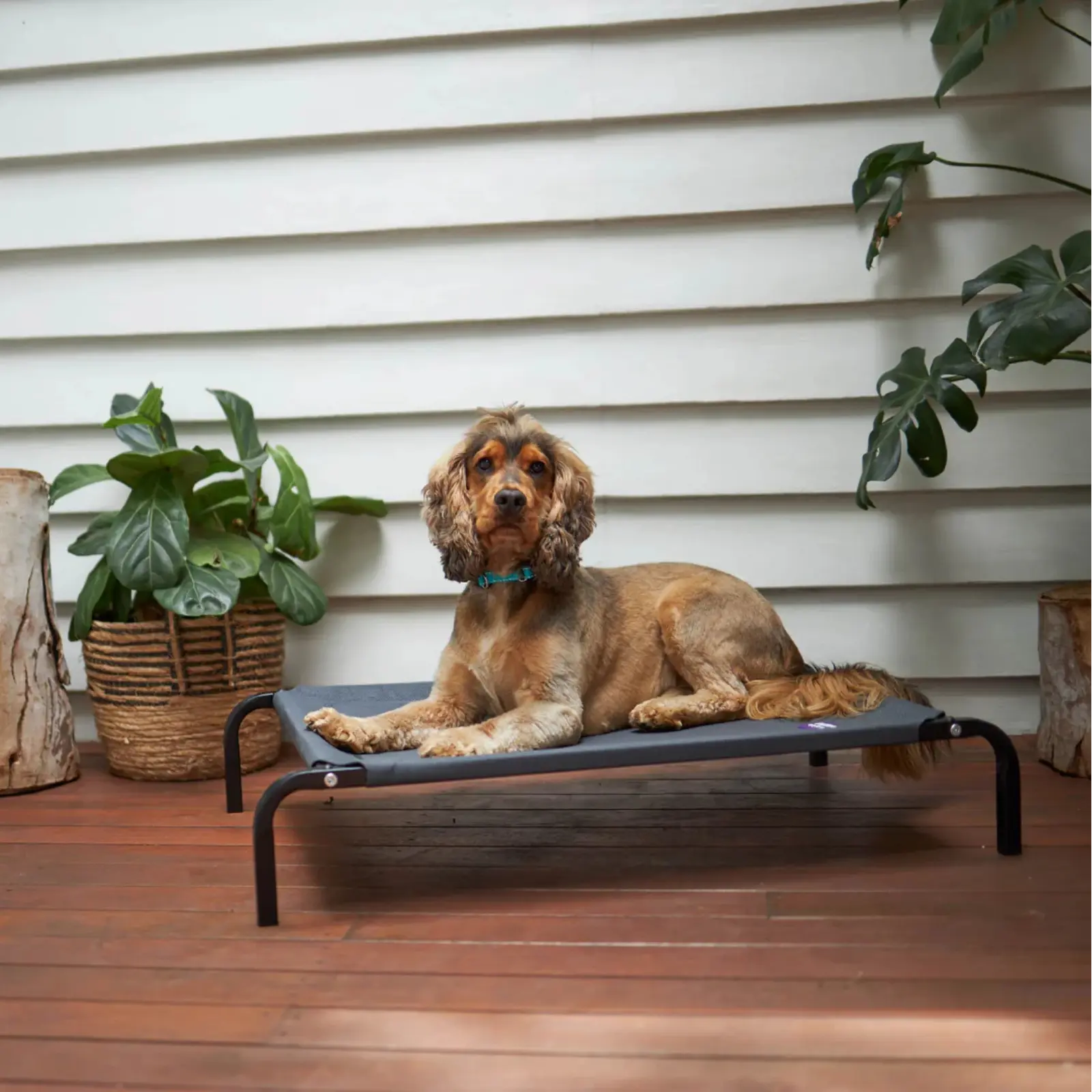 Kazoo Premium Charcoal Trampoline Beds Kazoo