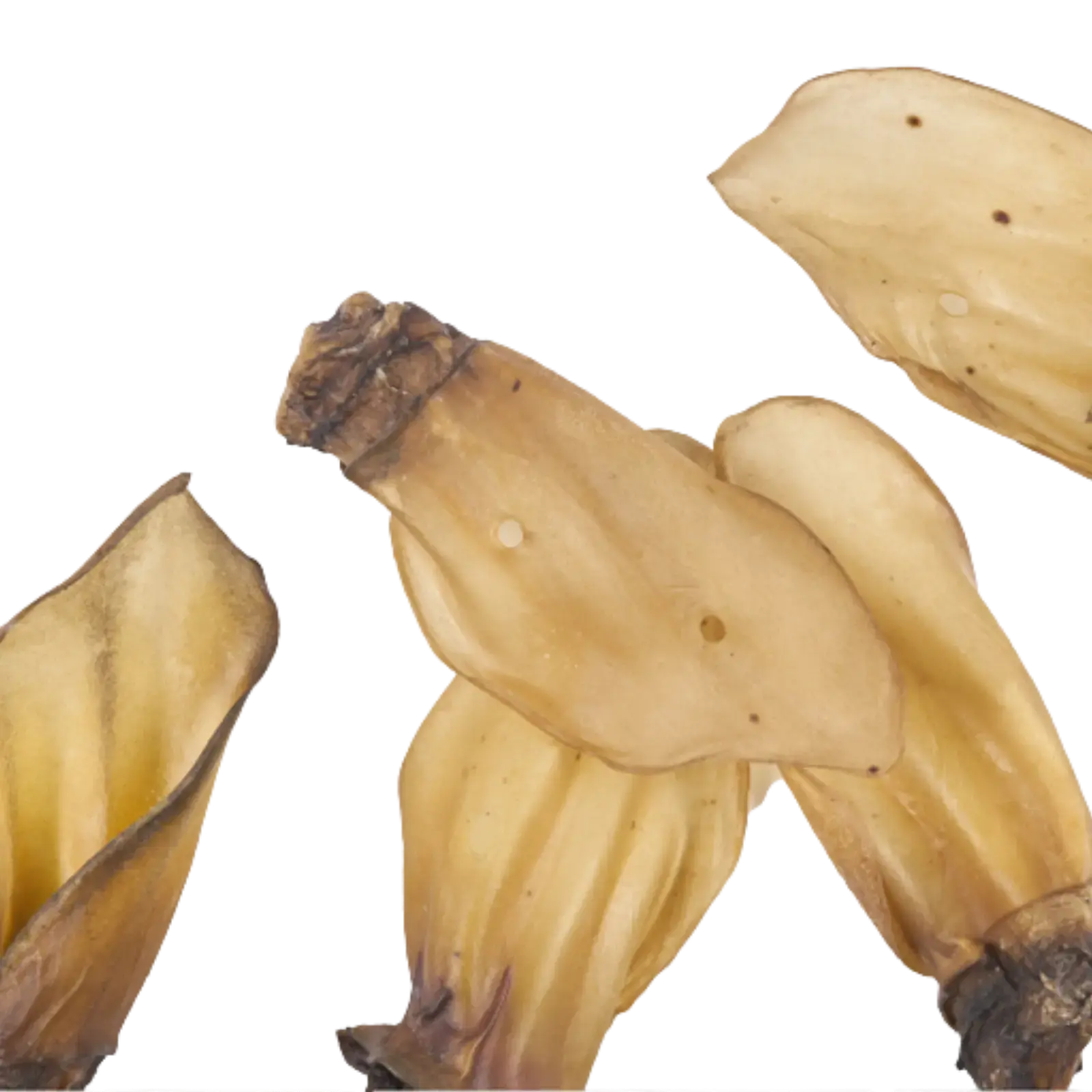 Kazoo Prime Cuts Aussie Beef Ears - 7pk Prime Cuts