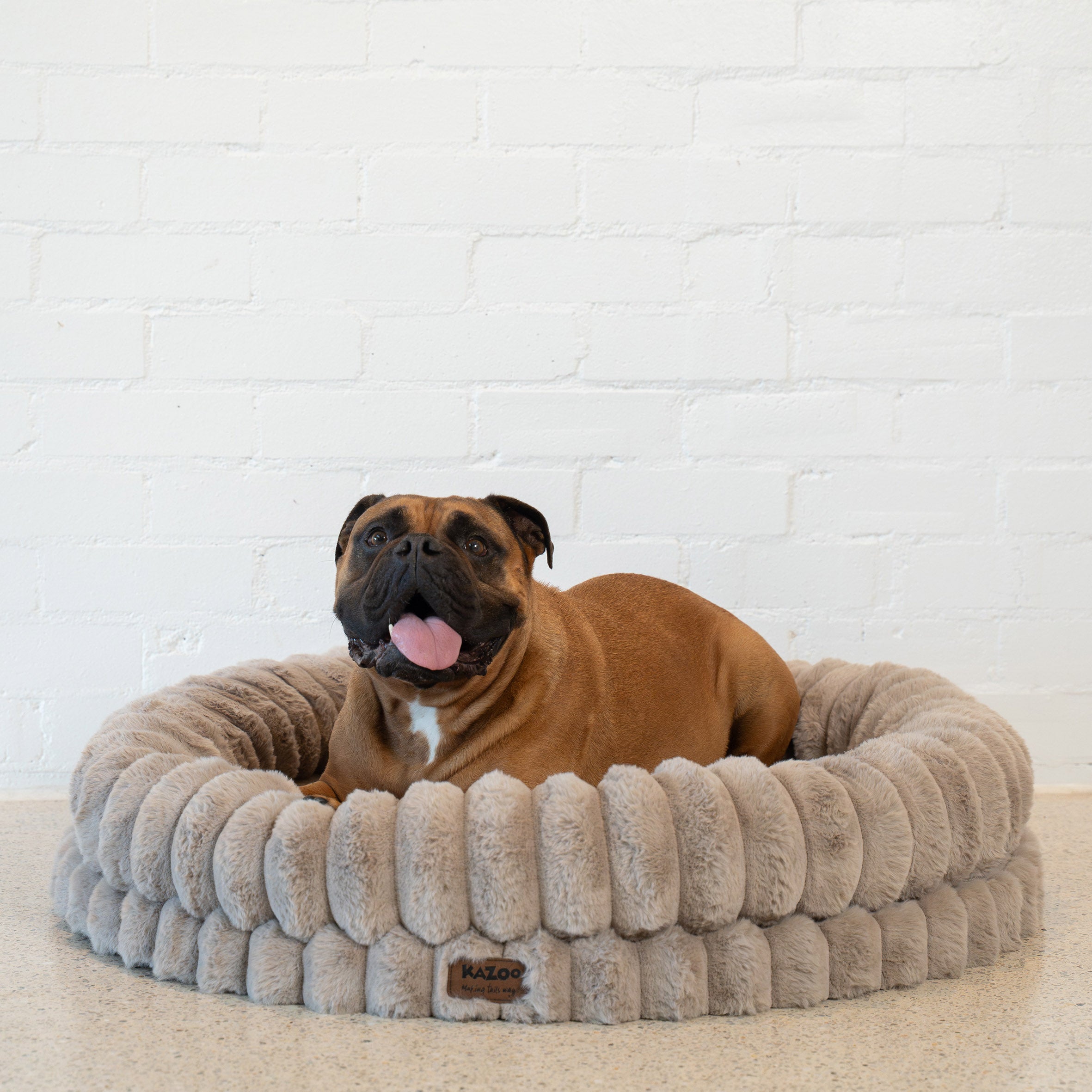 Kazoo Donut Snuggle Pet Bed - Beige