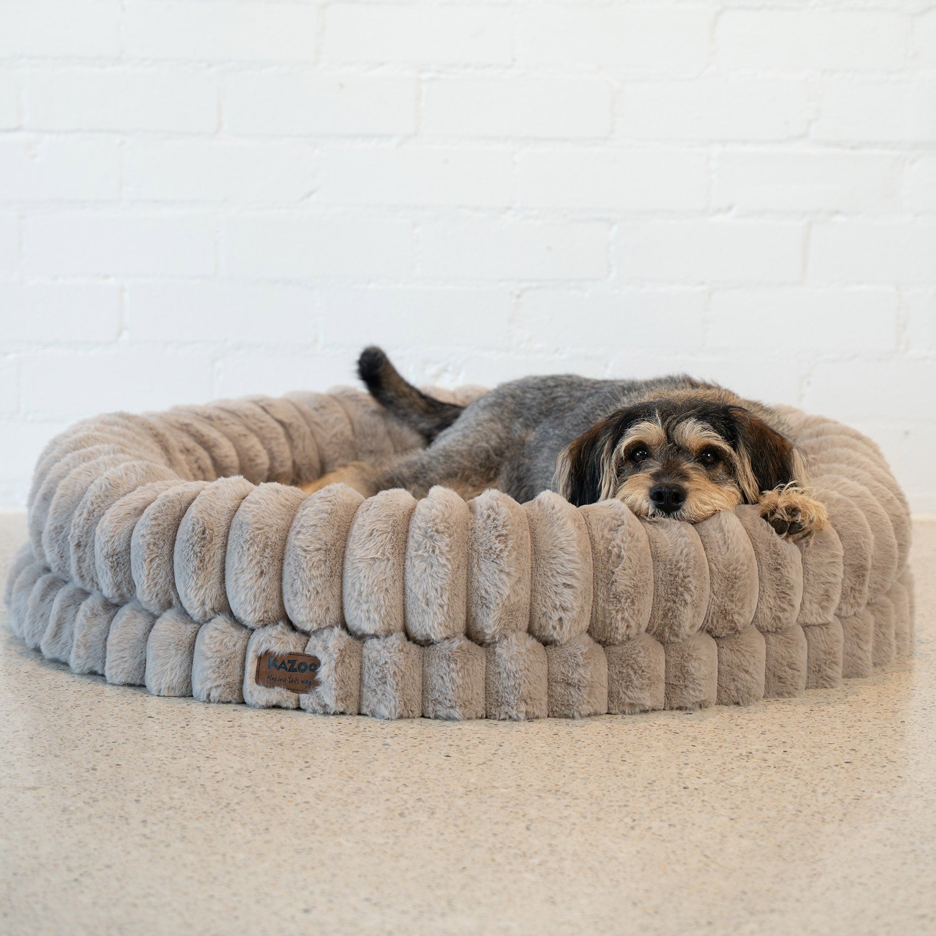 Kazoo Donut Snuggle Pet Bed - Beige