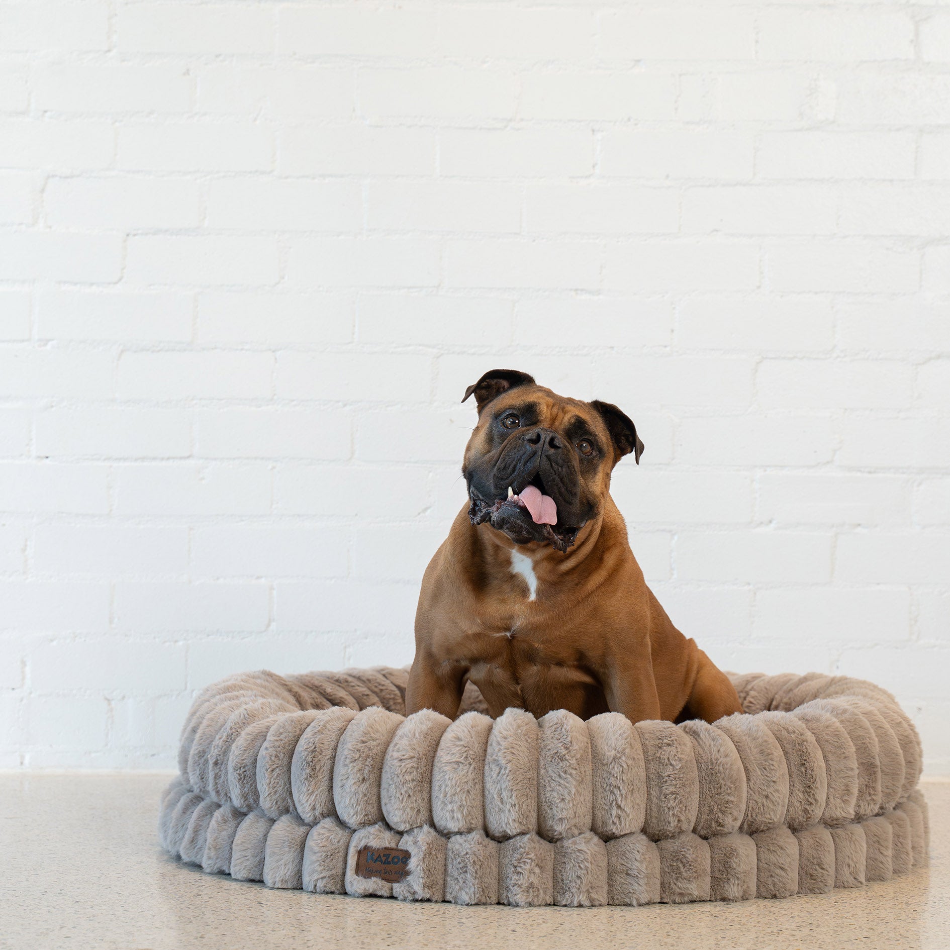Kazoo Donut Snuggle Pet Bed - Beige
