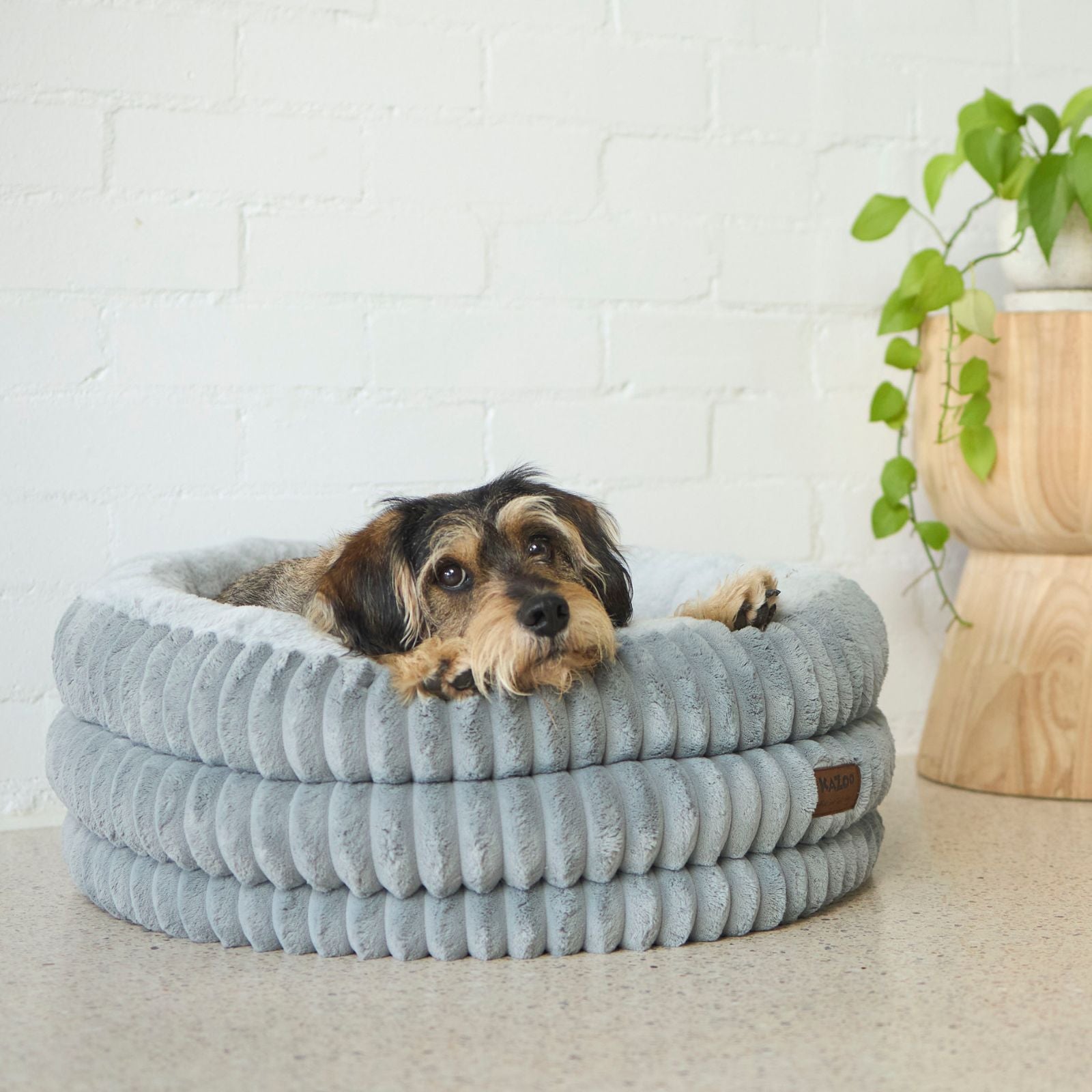 Kazoo Calming Nest Dog Bed - Grey