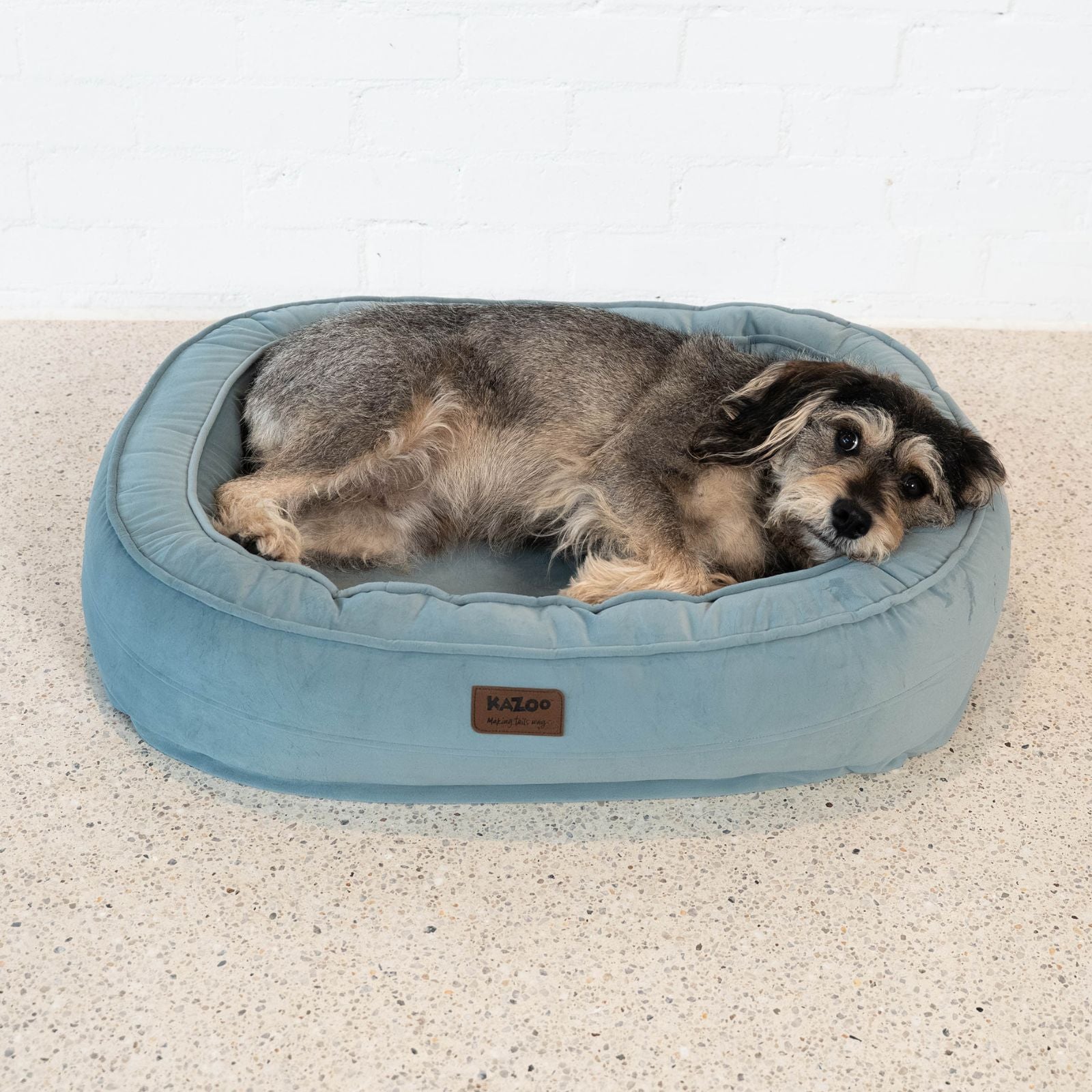 Kazoo Loop Neck Support Pet Bed - Blue