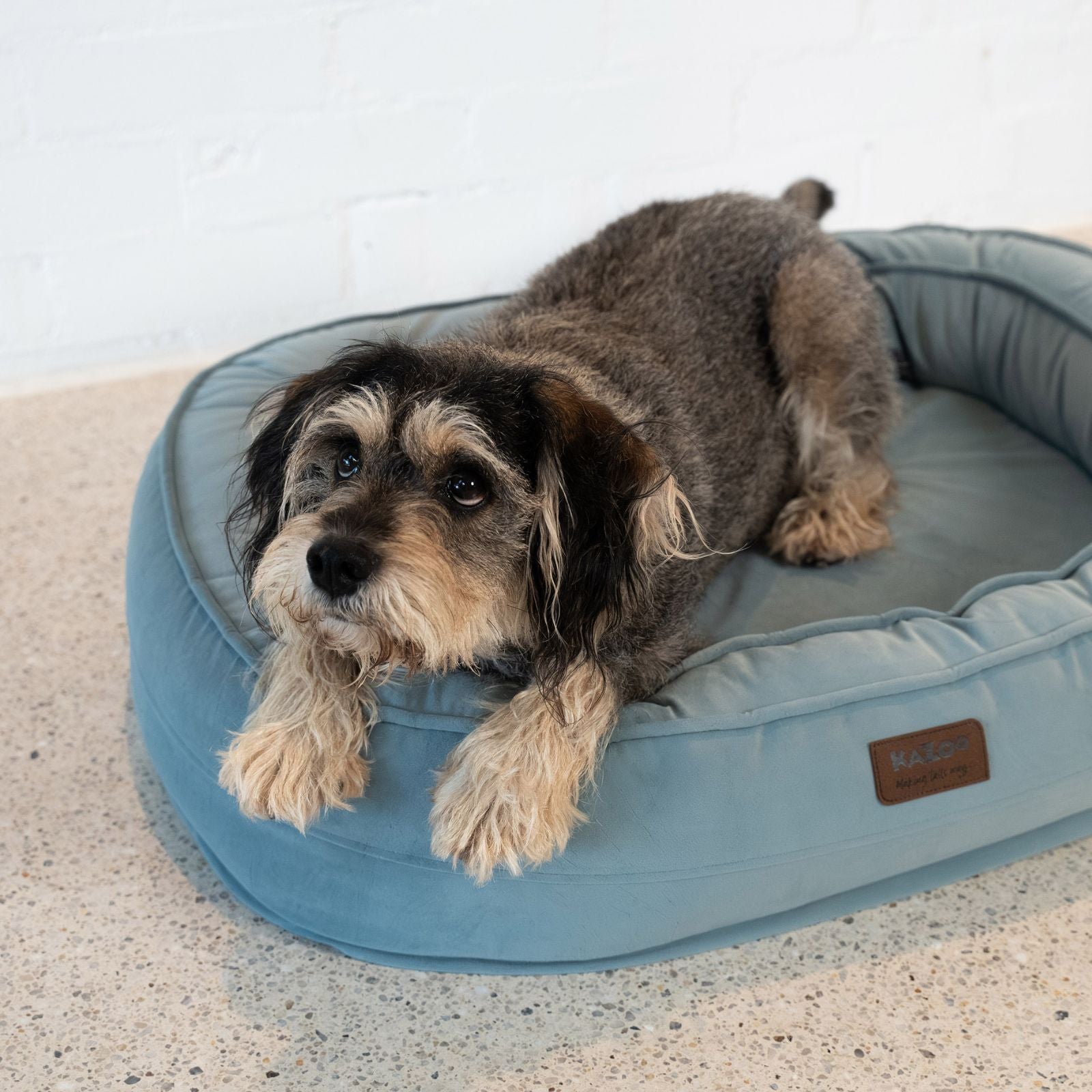 Kazoo Loop Neck Support Pet Bed - Blue