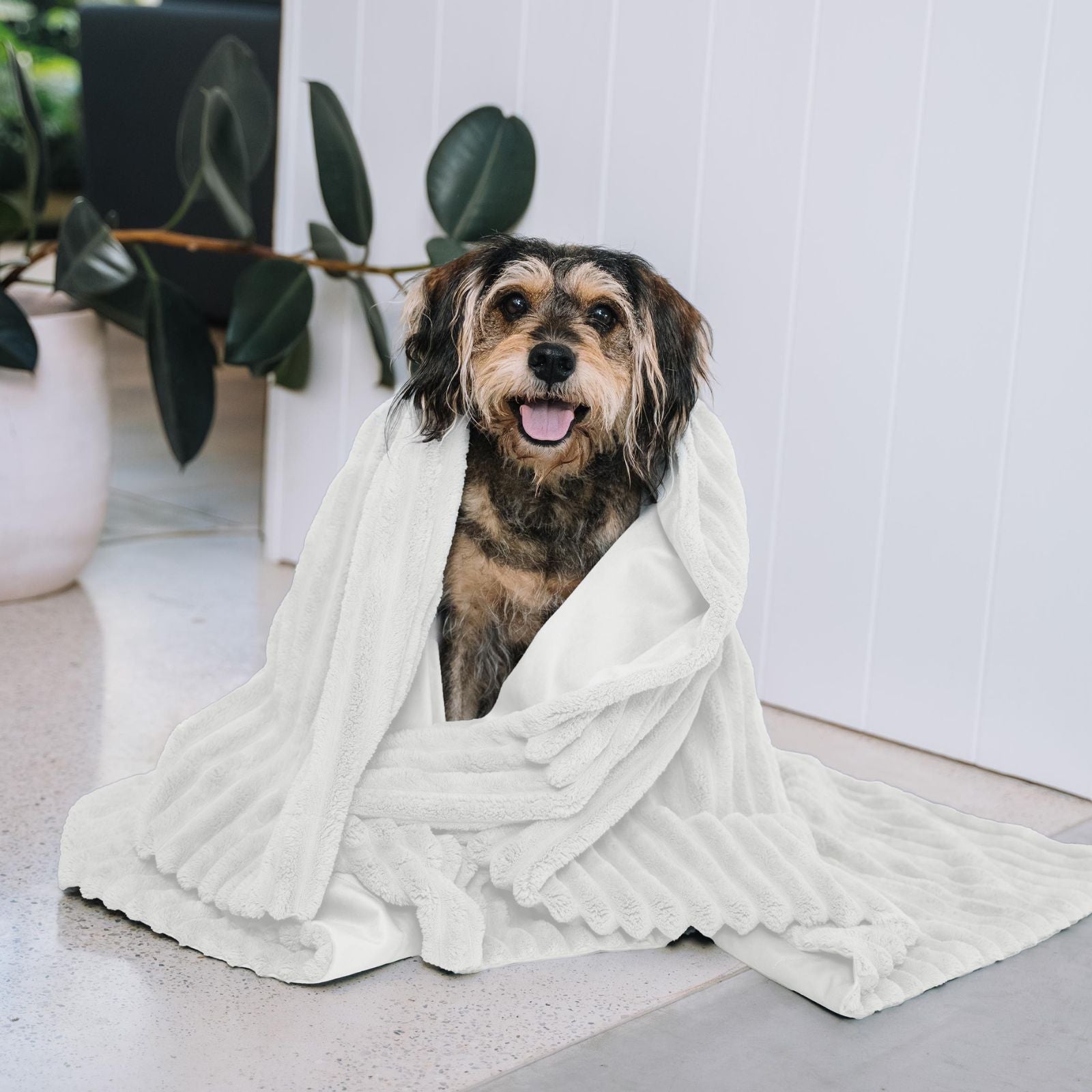 Kazoo Ribbed Pet Blanket