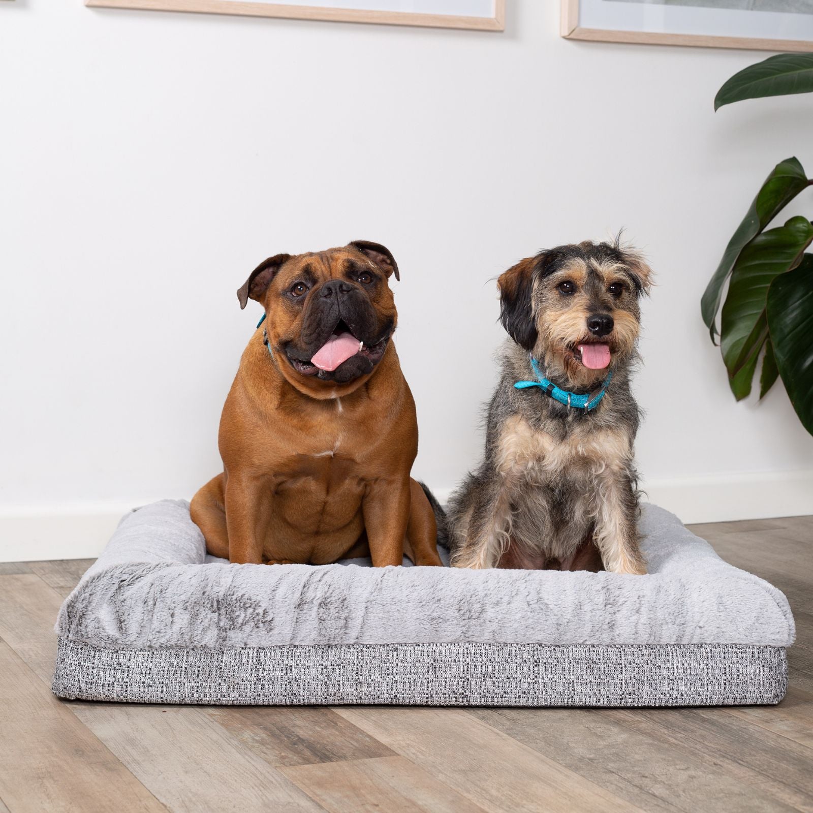 Kazoo Wombat Pet Bed - Cream Boucle