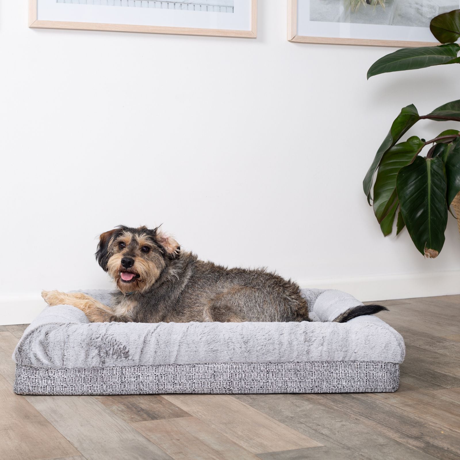 Kazoo Wombat Pet Bed - Cream Boucle