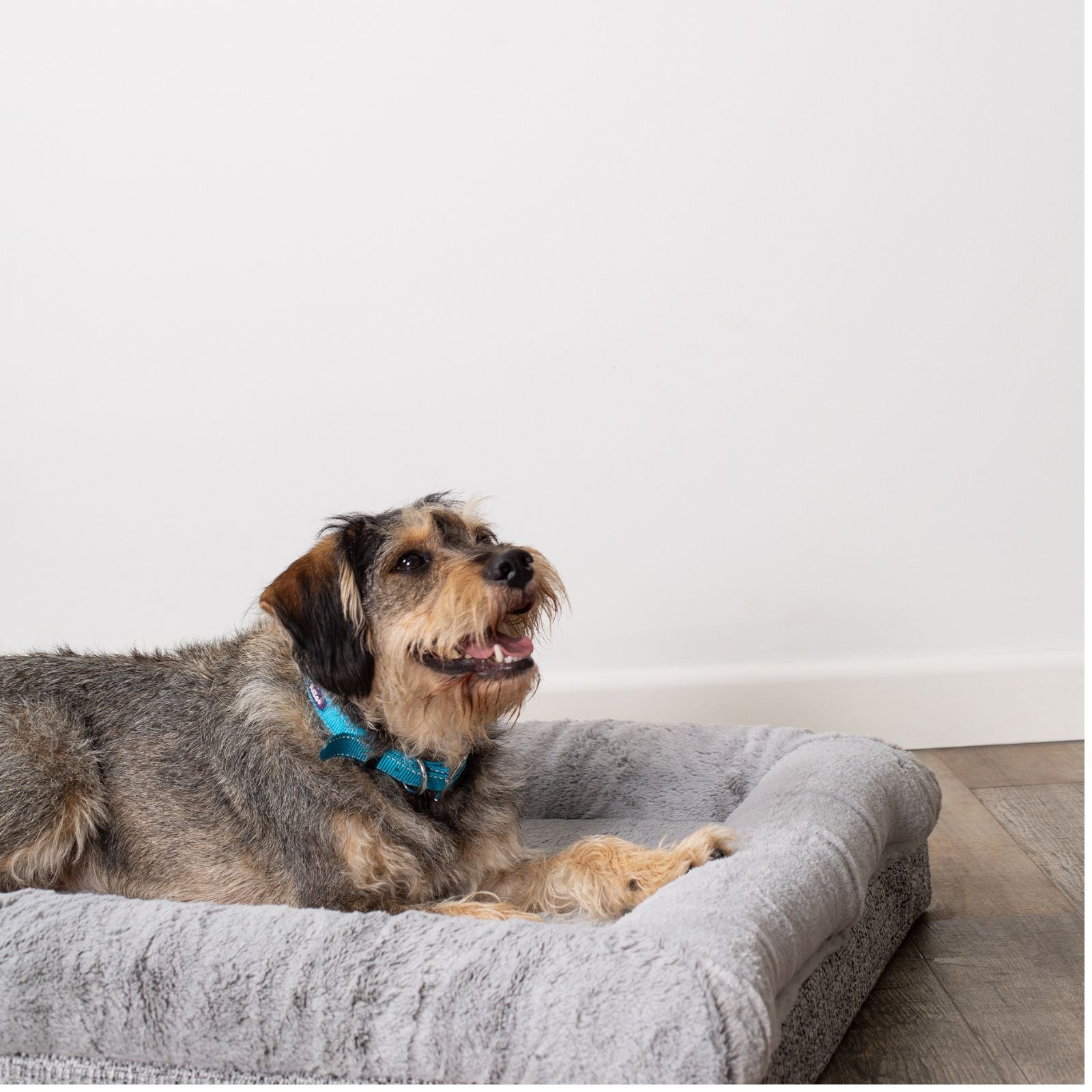 Kazoo Wombat Pet Bed - Cream Boucle